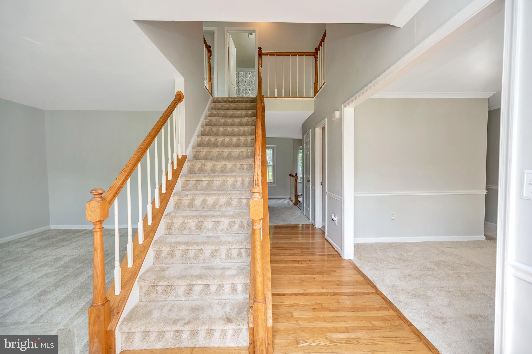 HAMPTON OAKS - Residential