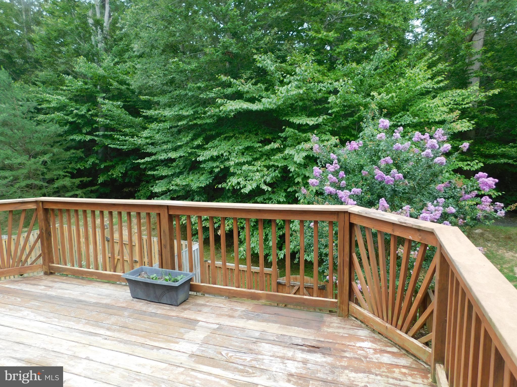 HOLLY WOODS - Residential