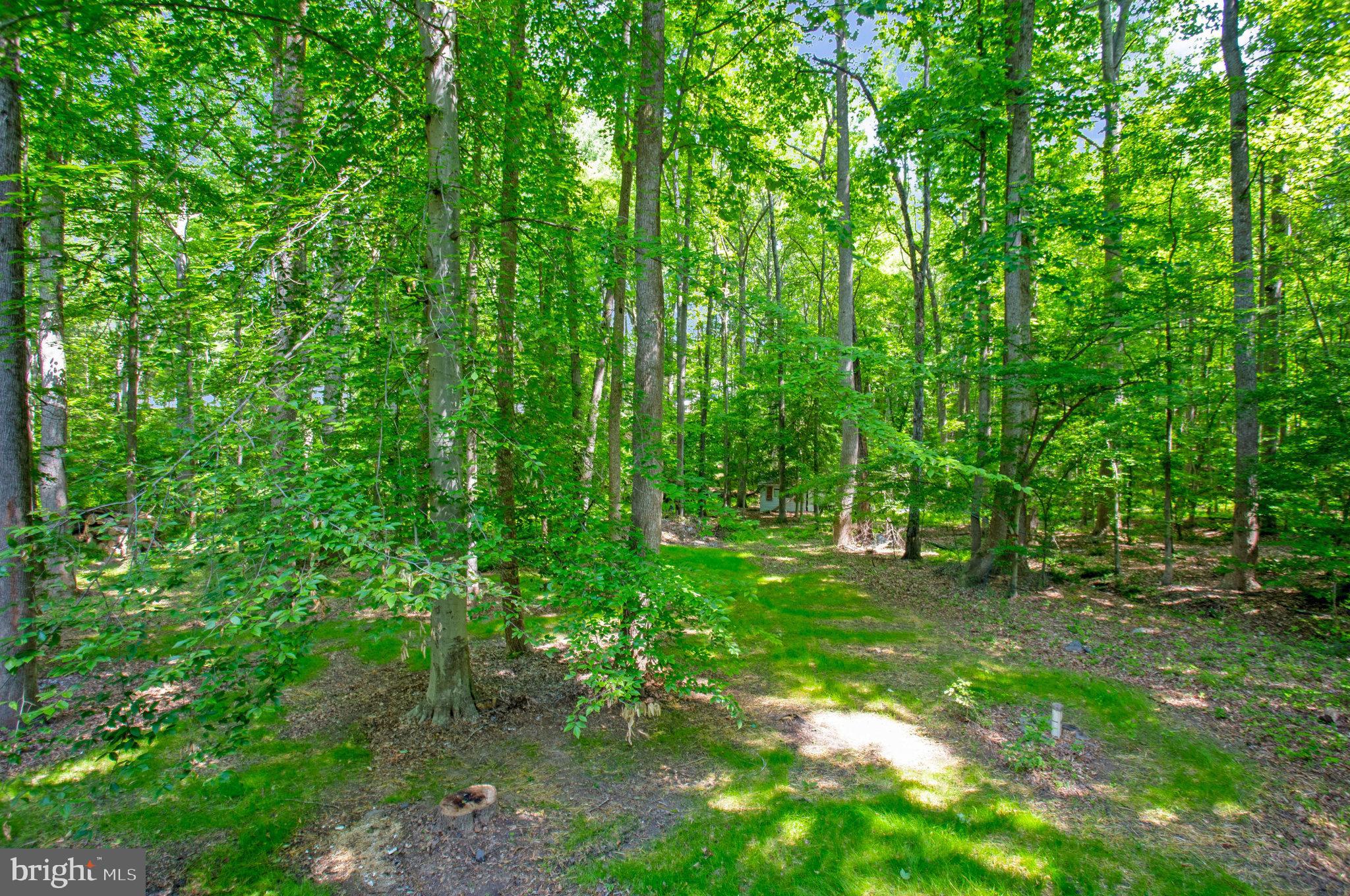 SPRING VALLEY SUB - Residential