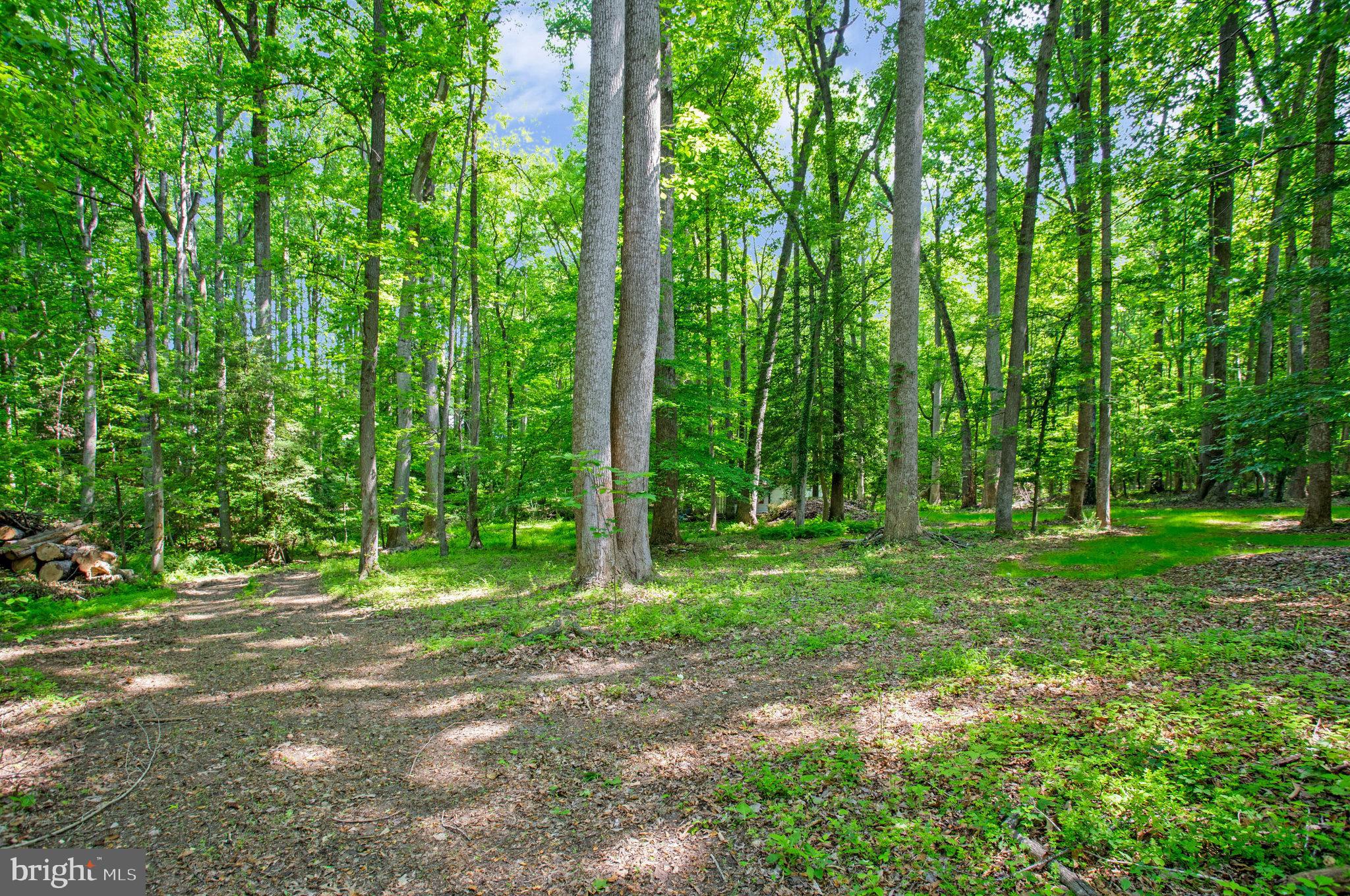 SPRING VALLEY SUB - Residential