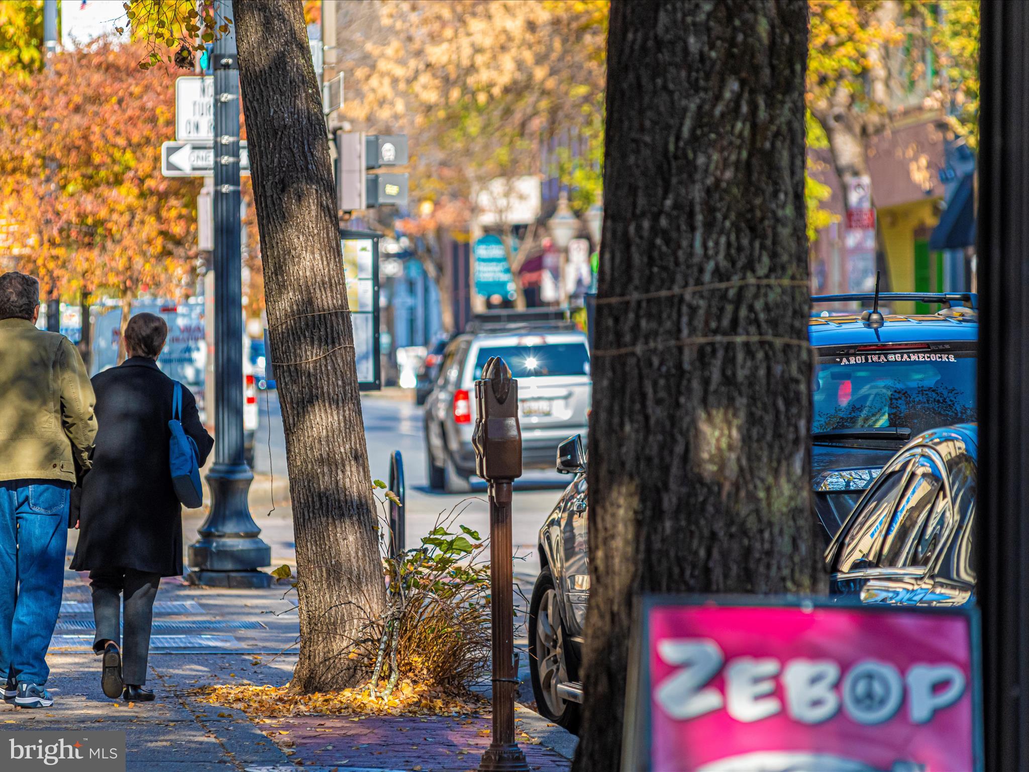 ROSEDALE - Residential