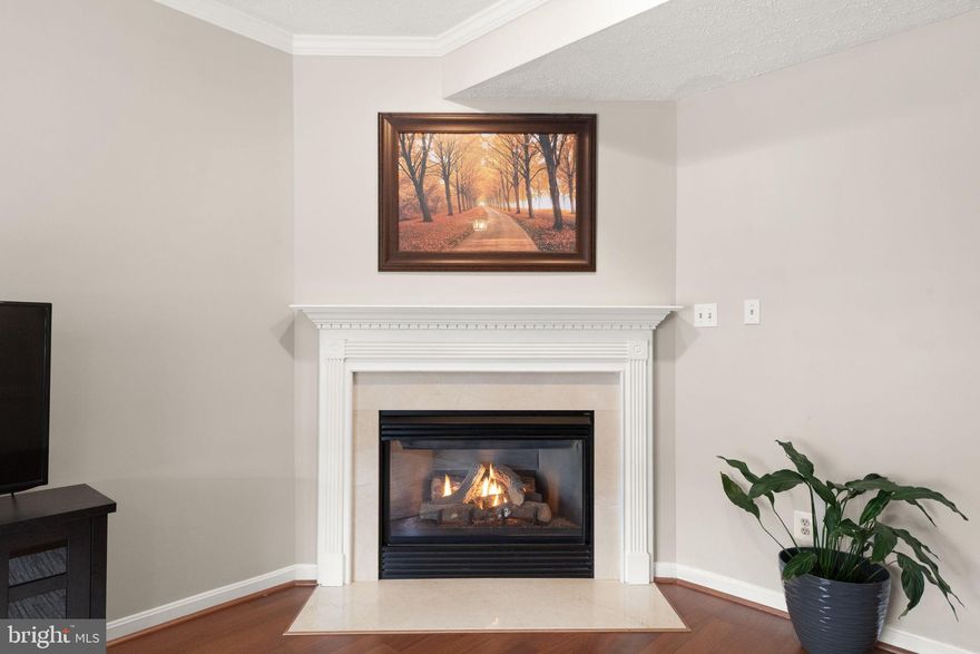 Welcome to 352 Foreland Garth!! Your New Home welcomes you with oodles of natural light and a spacious family room - cozy up with the gas fireplace! Your eat-in kitchen boasts granite countertops that offer plenty of counter space & storage, BRAND NEW appliances, and a large dining area that opens to a sitting/ play room! Head outdoors to the deck for the perfect entertaining flow! Back inside and upstairs, you can withdraw to your primary suite, presenting a spa-like experience with a soaking tub - perfect after your long day! The upper level also has 2 generously sized bedrooms and an additional full bathroom! In the lower level, you'll discover even MORE living space - a rec room wired for surround sound - a dry bar, additional bedroom, a full bathroom, along with the laundry, storage and utility rooms! Take the space outside, again, to find a stone patio that walks out to the fully fenced backyard! Past the fence is a dense wooded area that adjoins Winters Run! If you need any more reason to schedule your private tour, here are some ADDED BONUSES - the roof was installed in 2020, HVAC in 2022 & water heater in 2020 AND tons of overflow parking!!