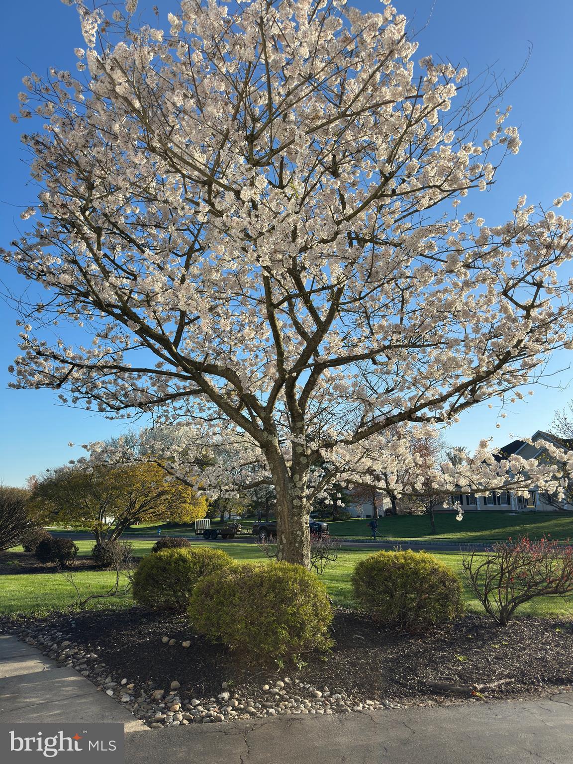 DOLINGTON ESTATES - Residential