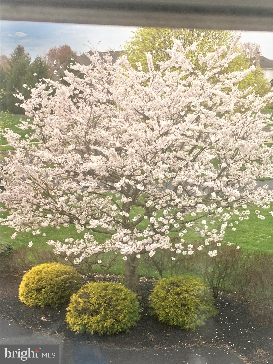 DOLINGTON ESTATES - Residential