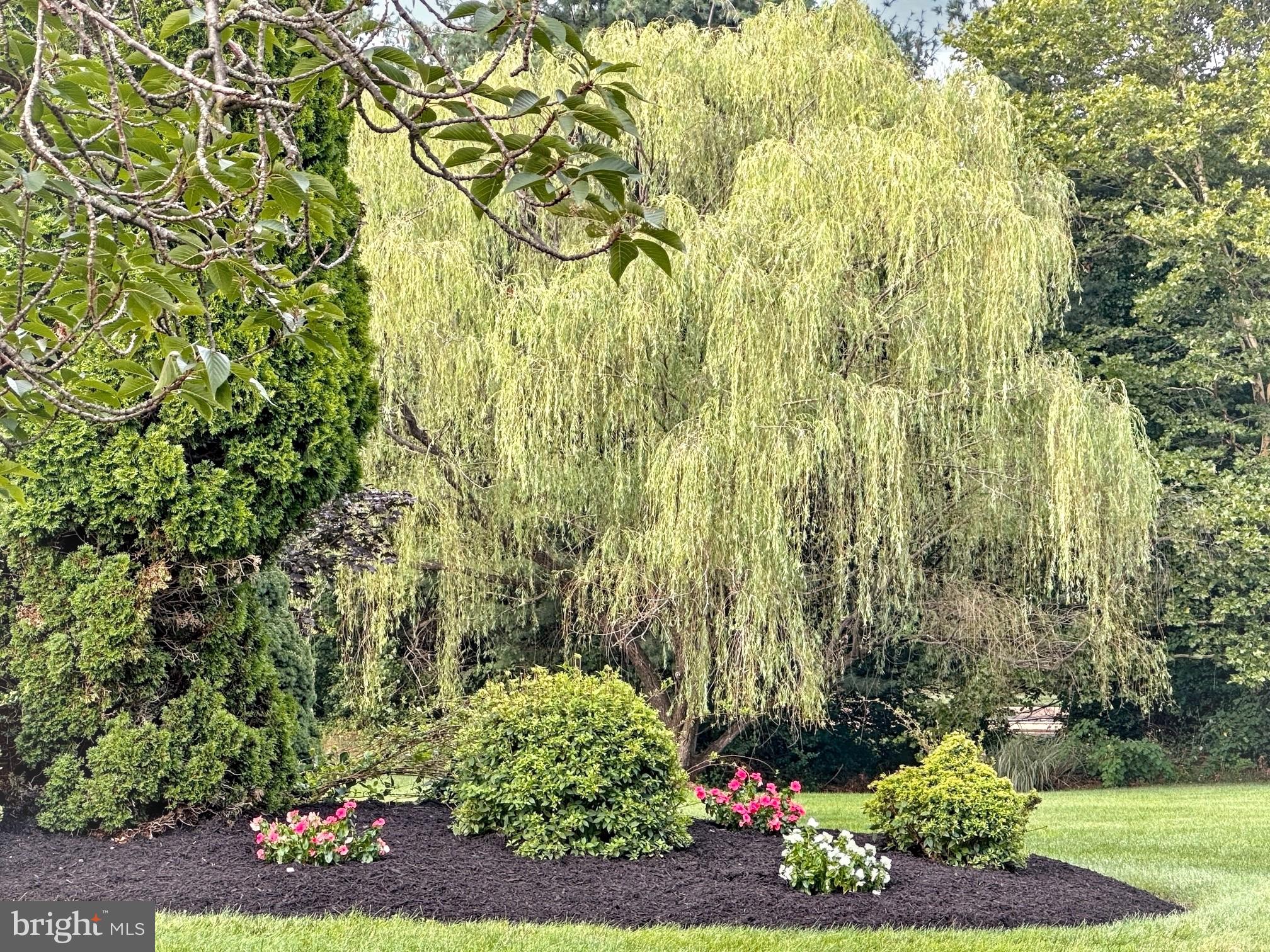 DOLINGTON ESTATES - Residential