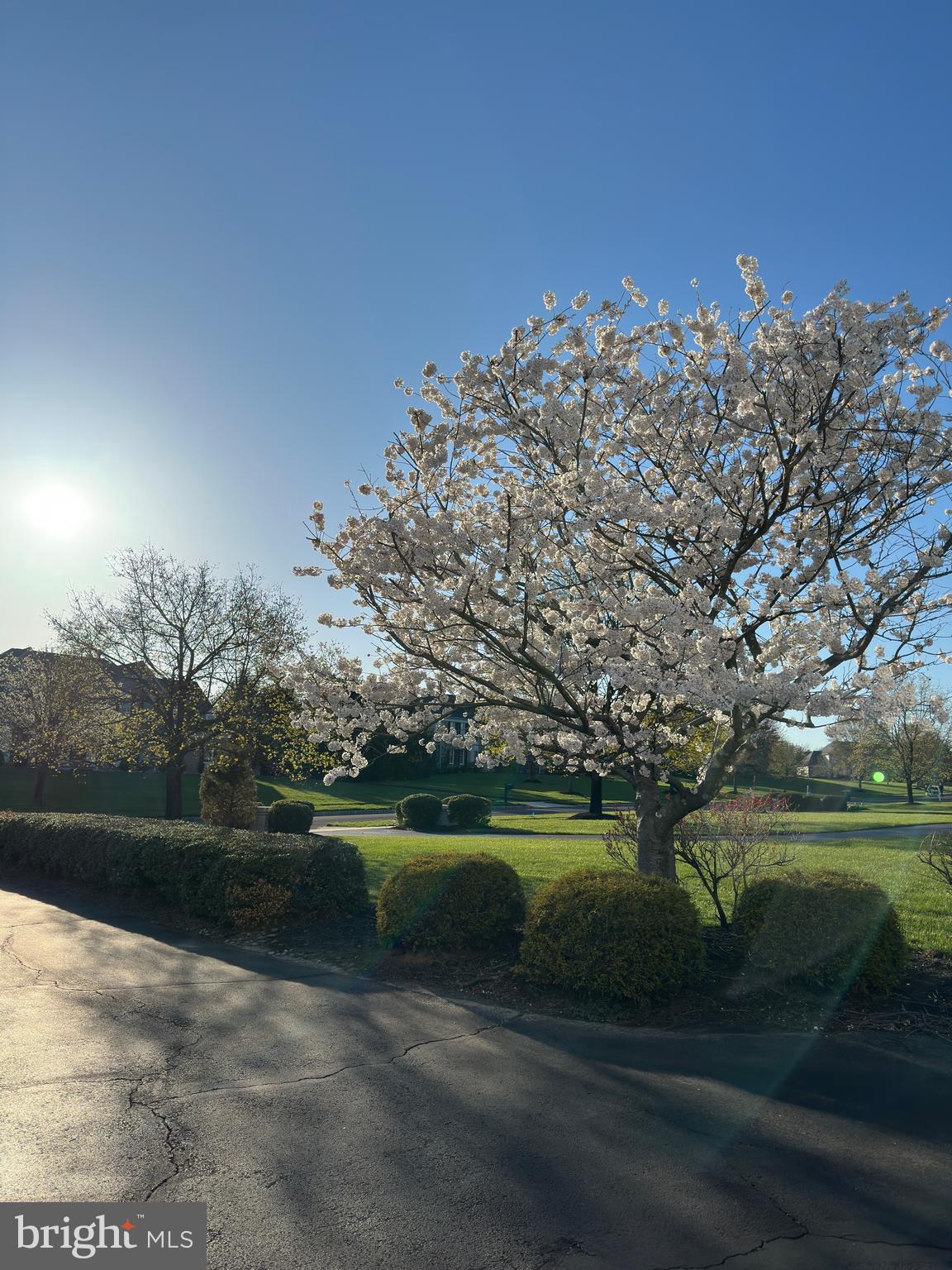 DOLINGTON ESTATES - Residential