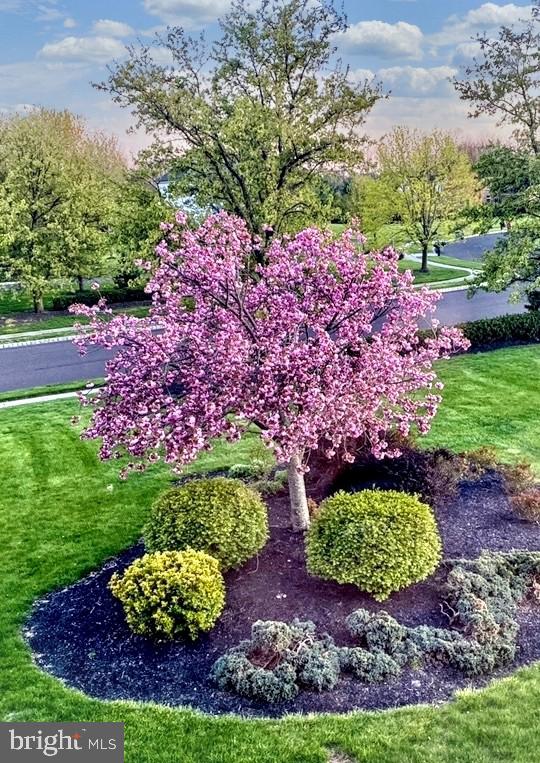 DOLINGTON ESTATES - Residential