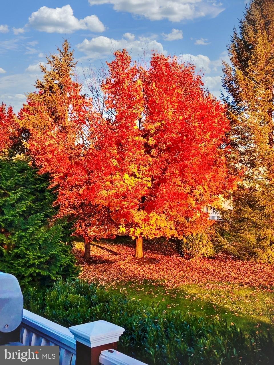 DOLINGTON ESTATES - Residential