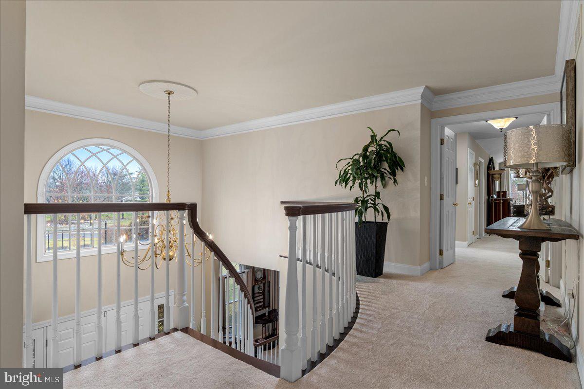 DOLINGTON ESTATES - Residential