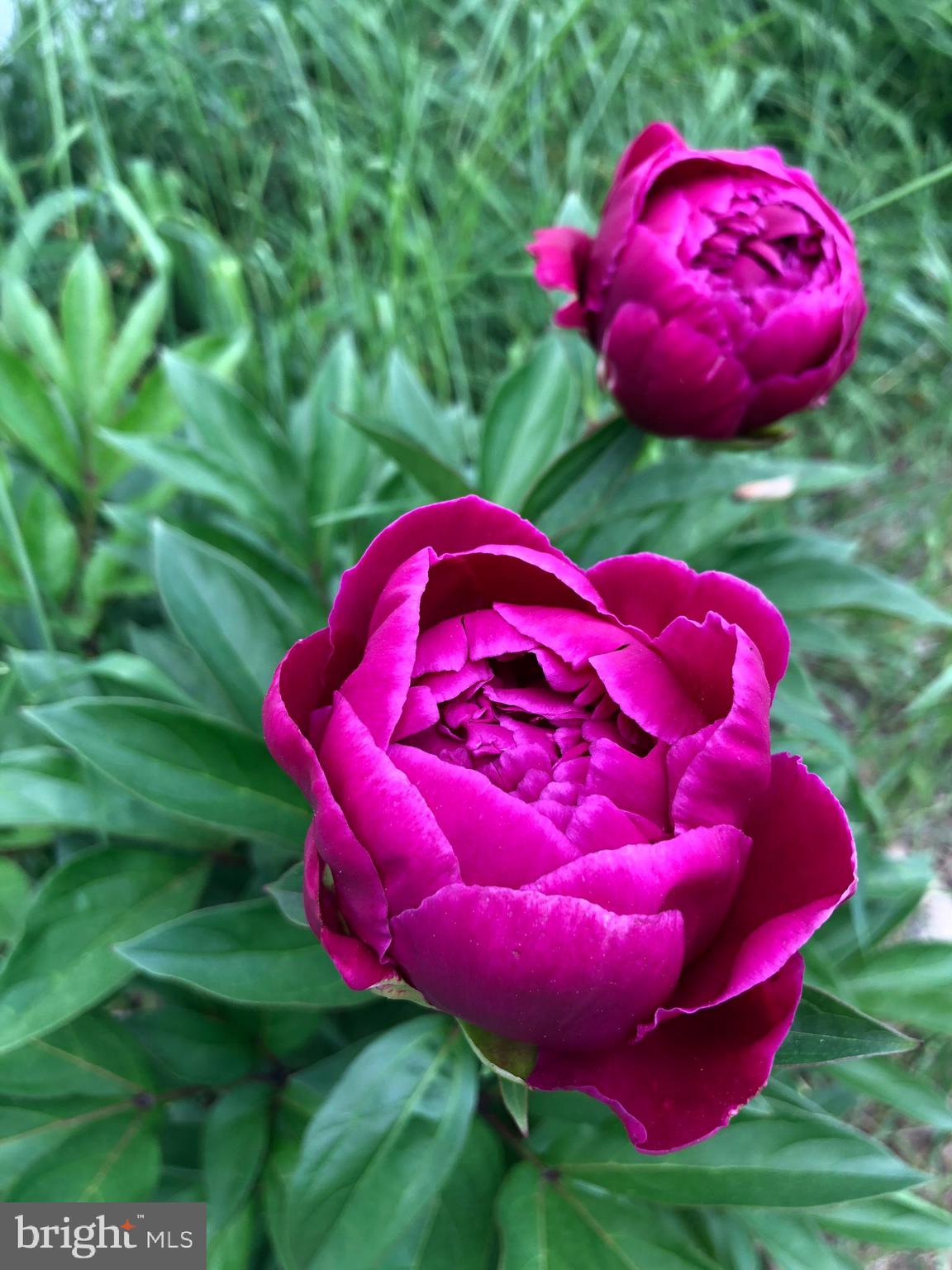 COLESVILLE OUTSIDE - Residential