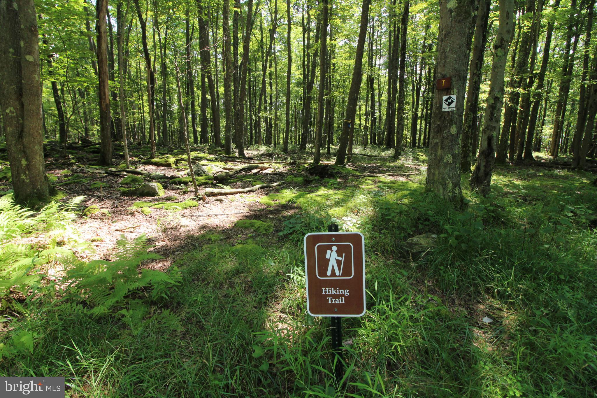 ALPINE LAKE  RESORT - Residential