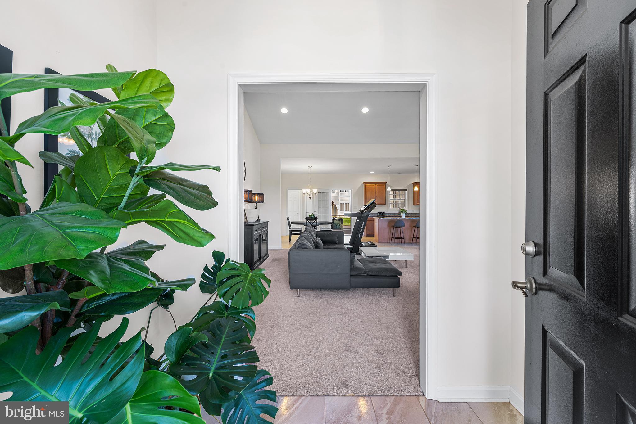 25 HOMESTEAD BOULEVARD