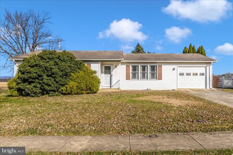 213 ALBANY AVENUE W WALKERSVILLE MD 21793