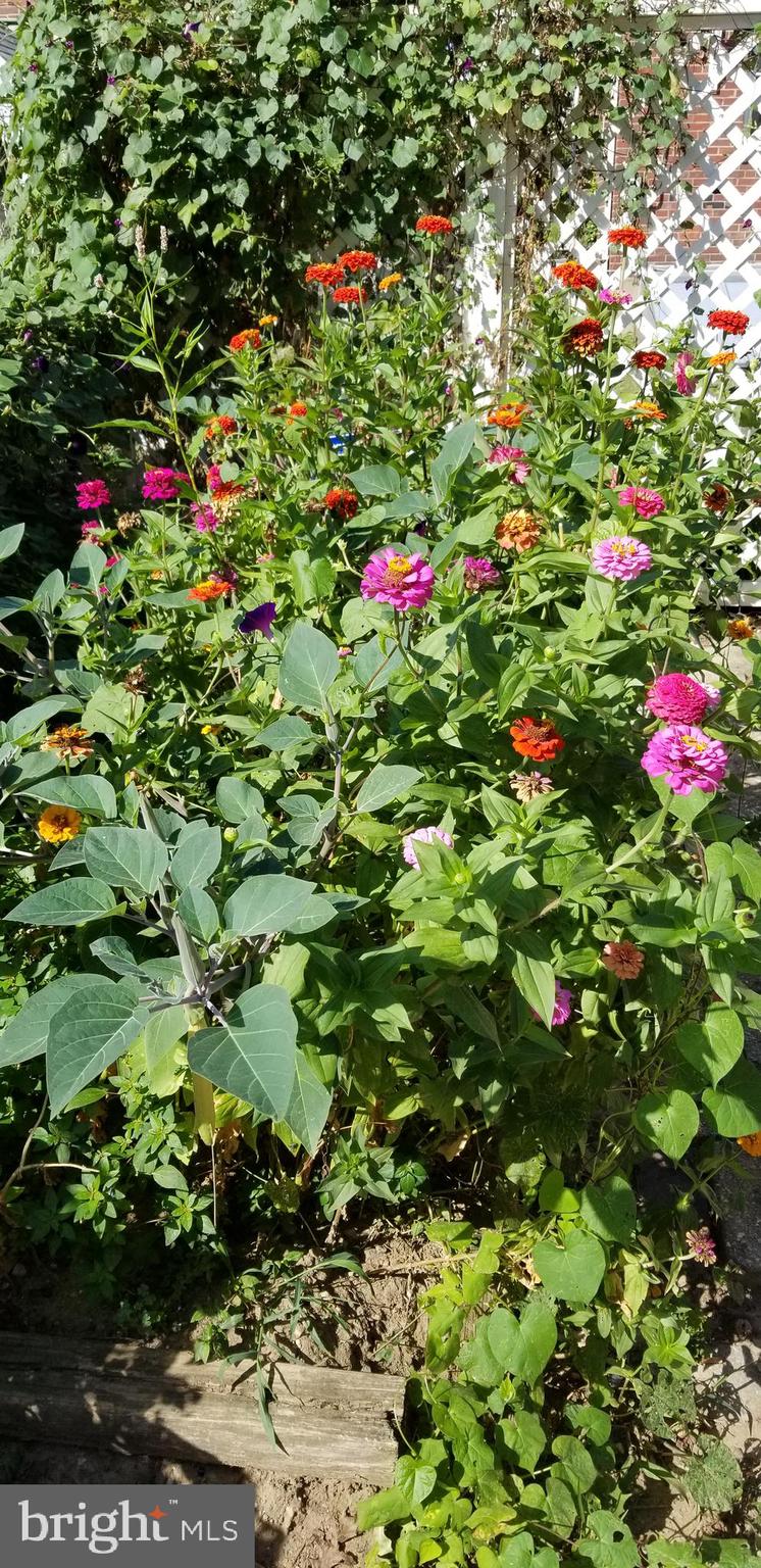 DUNDALK - Residential