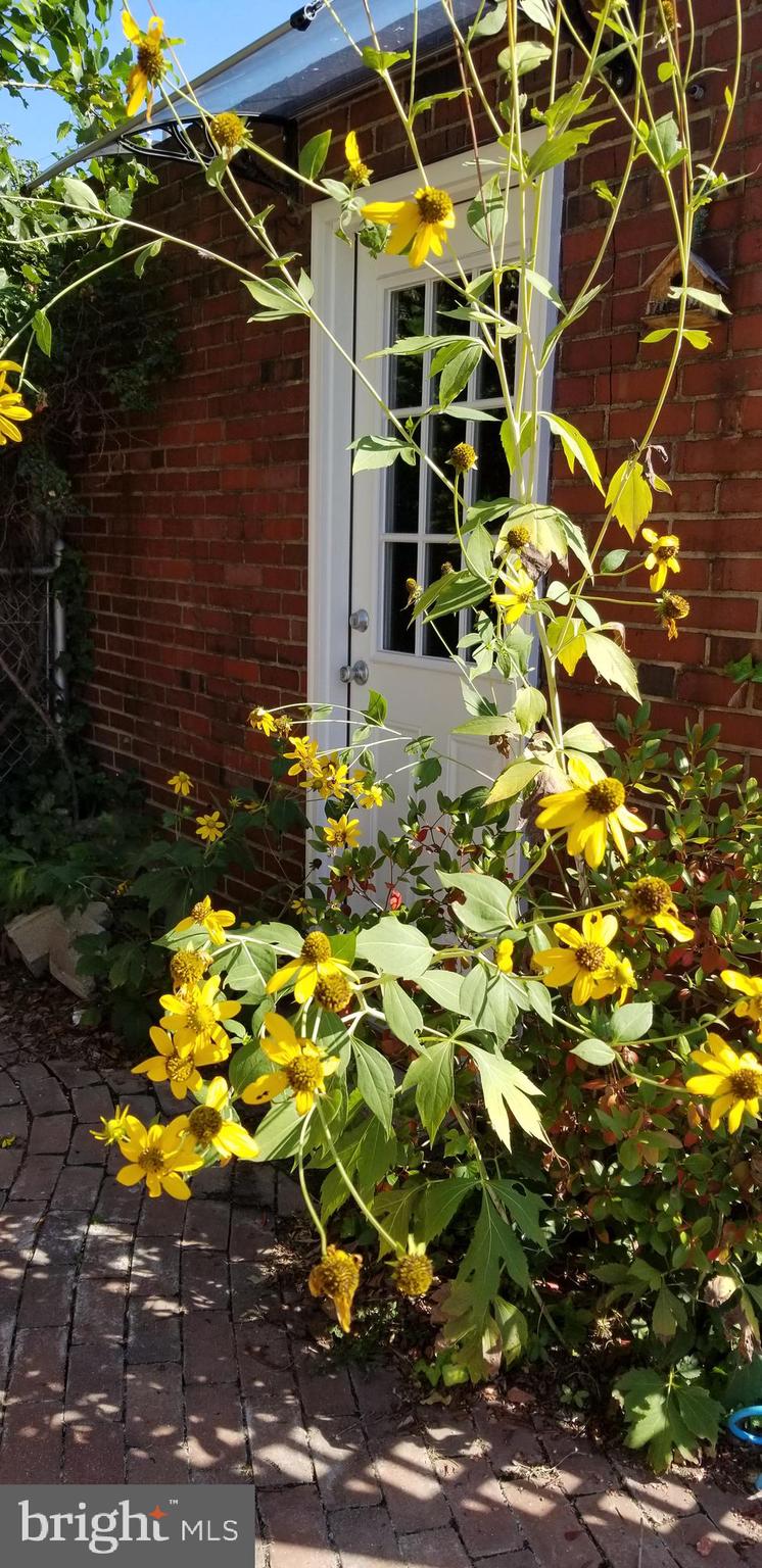 DUNDALK - Residential