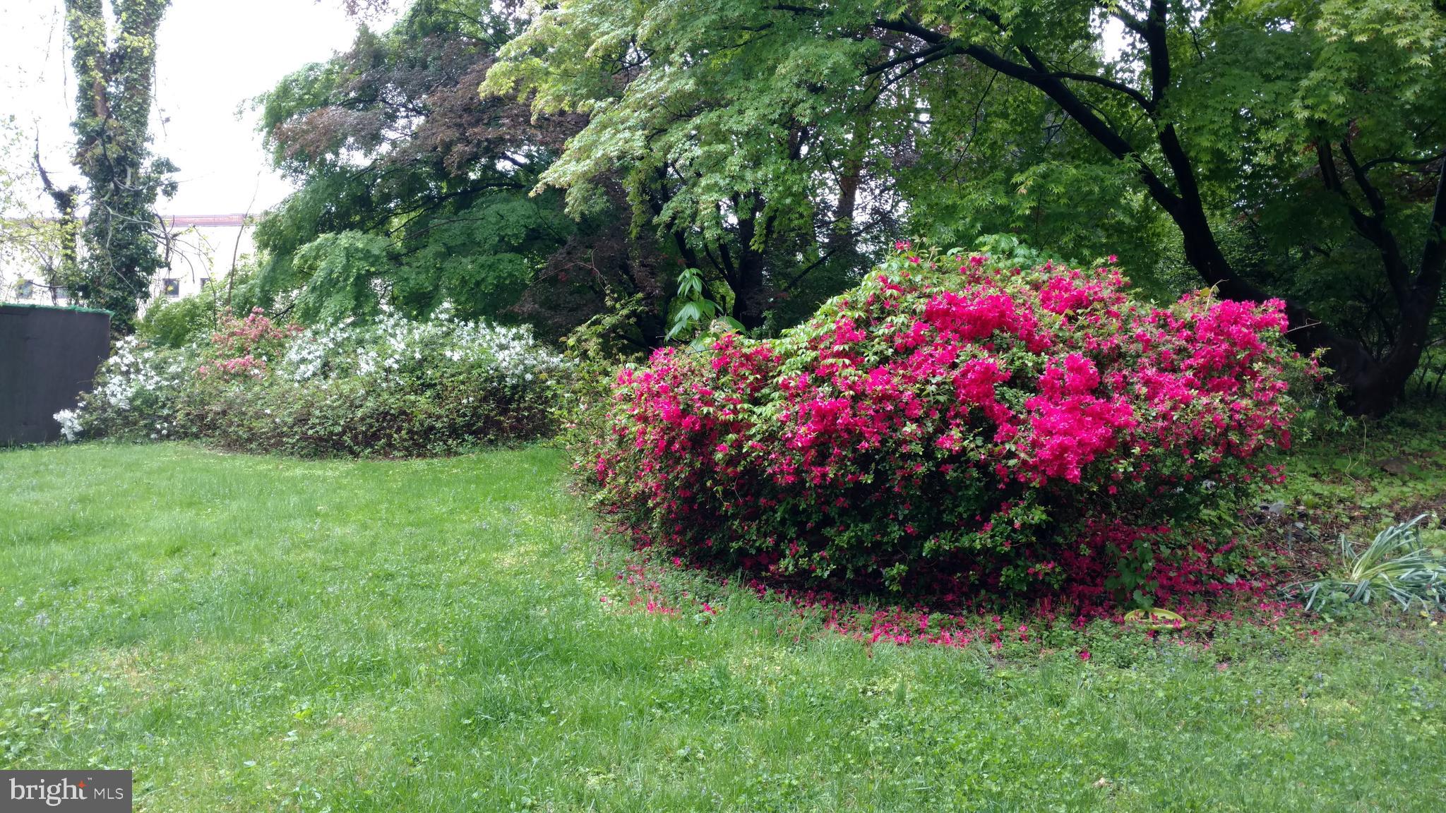 LAKEHURST - Residential