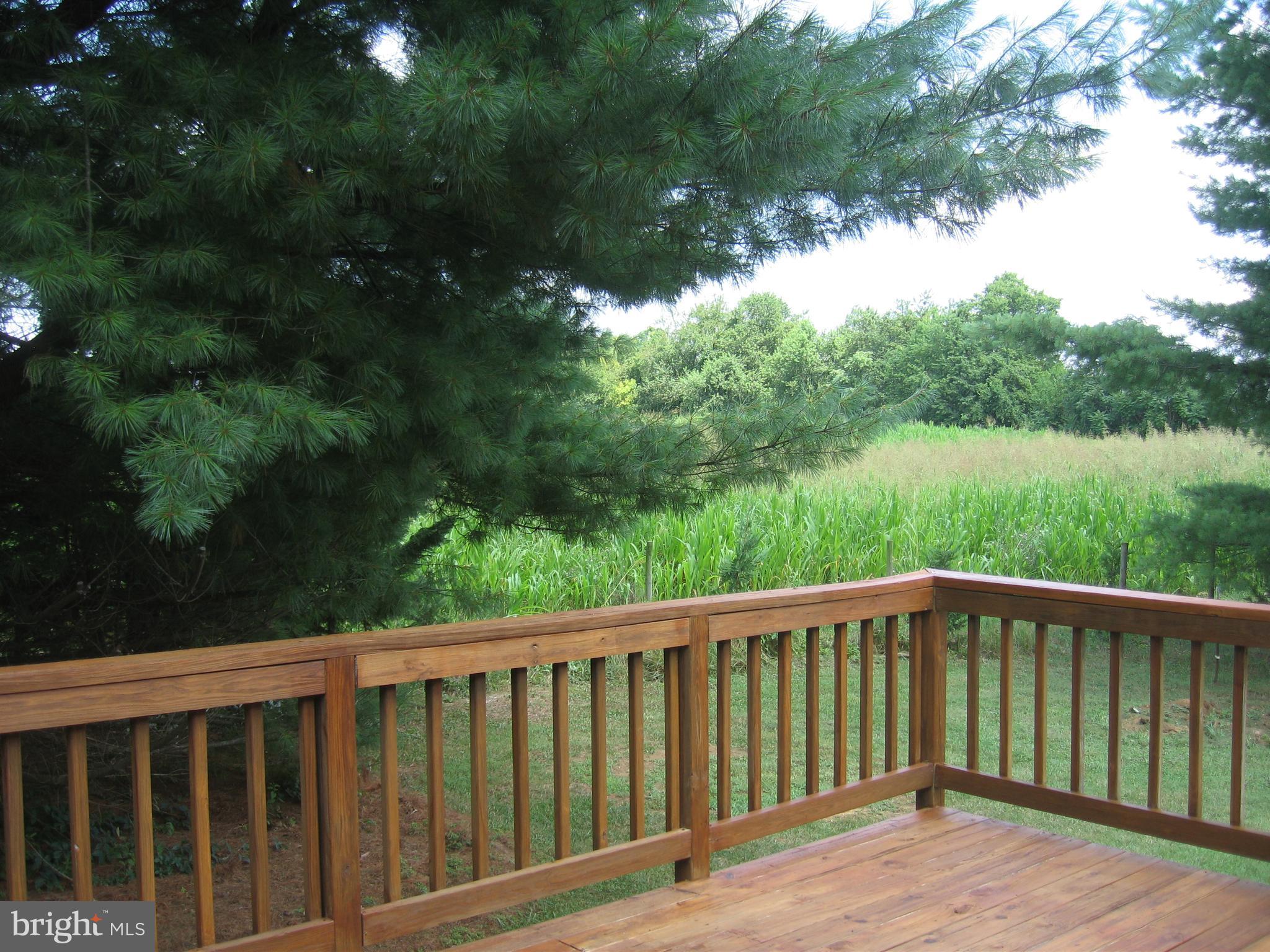 BRIAR RUN - Residential Lease