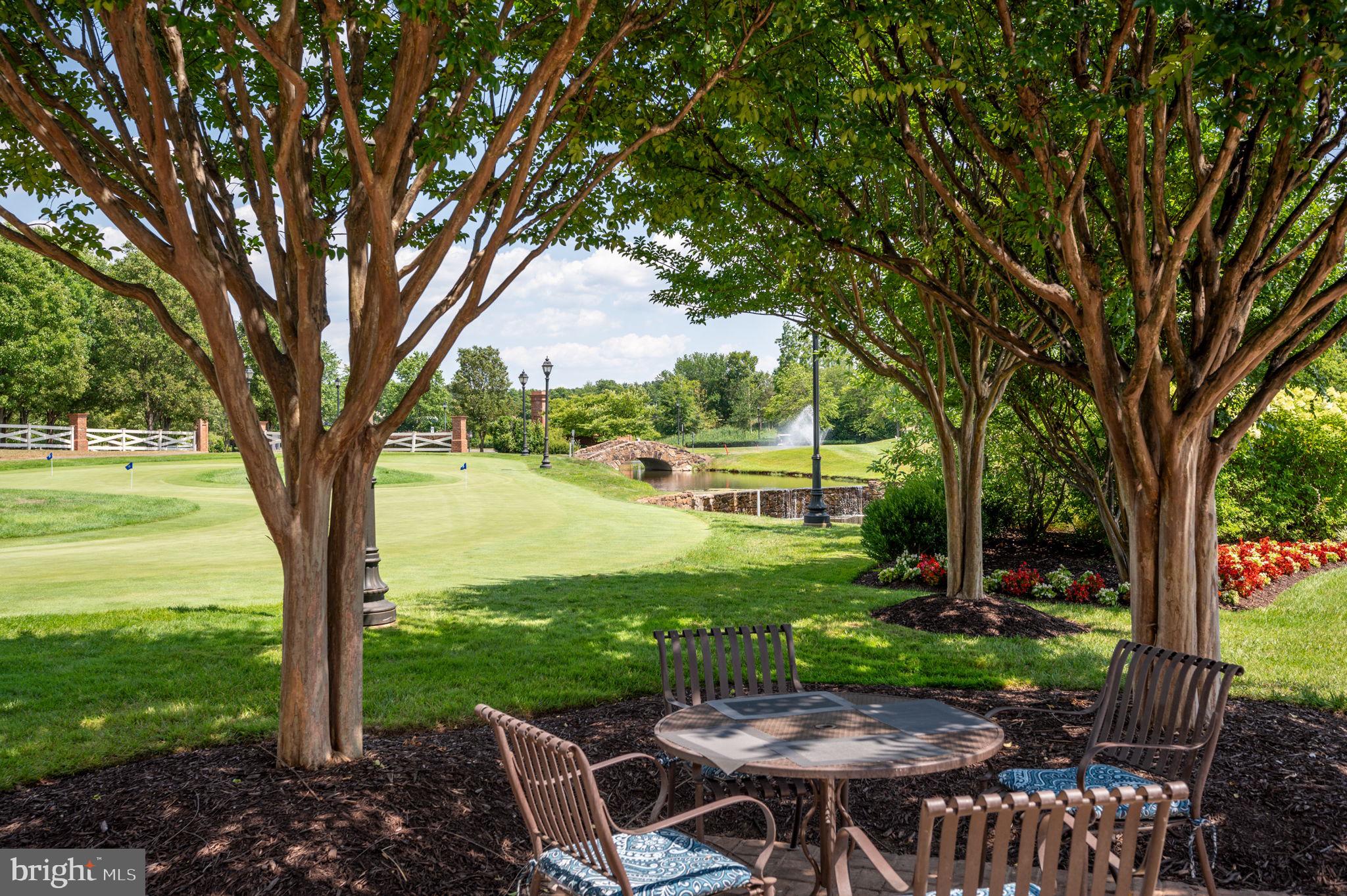 REGENCY AT DOMINION VALLEY - Residential