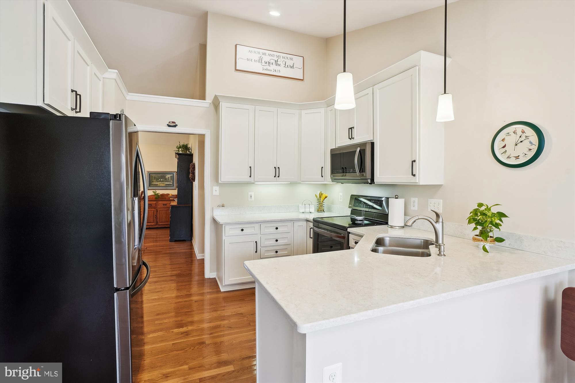 LAKE OF THE WOODS - Residential