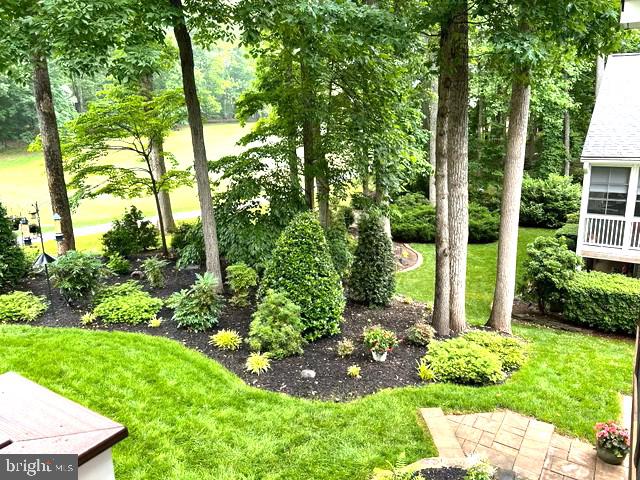 LAKE OF THE WOODS - Residential