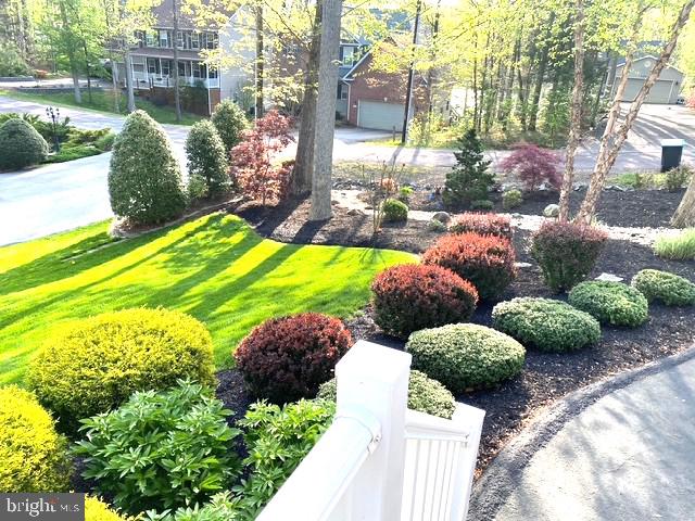 LAKE OF THE WOODS - Residential