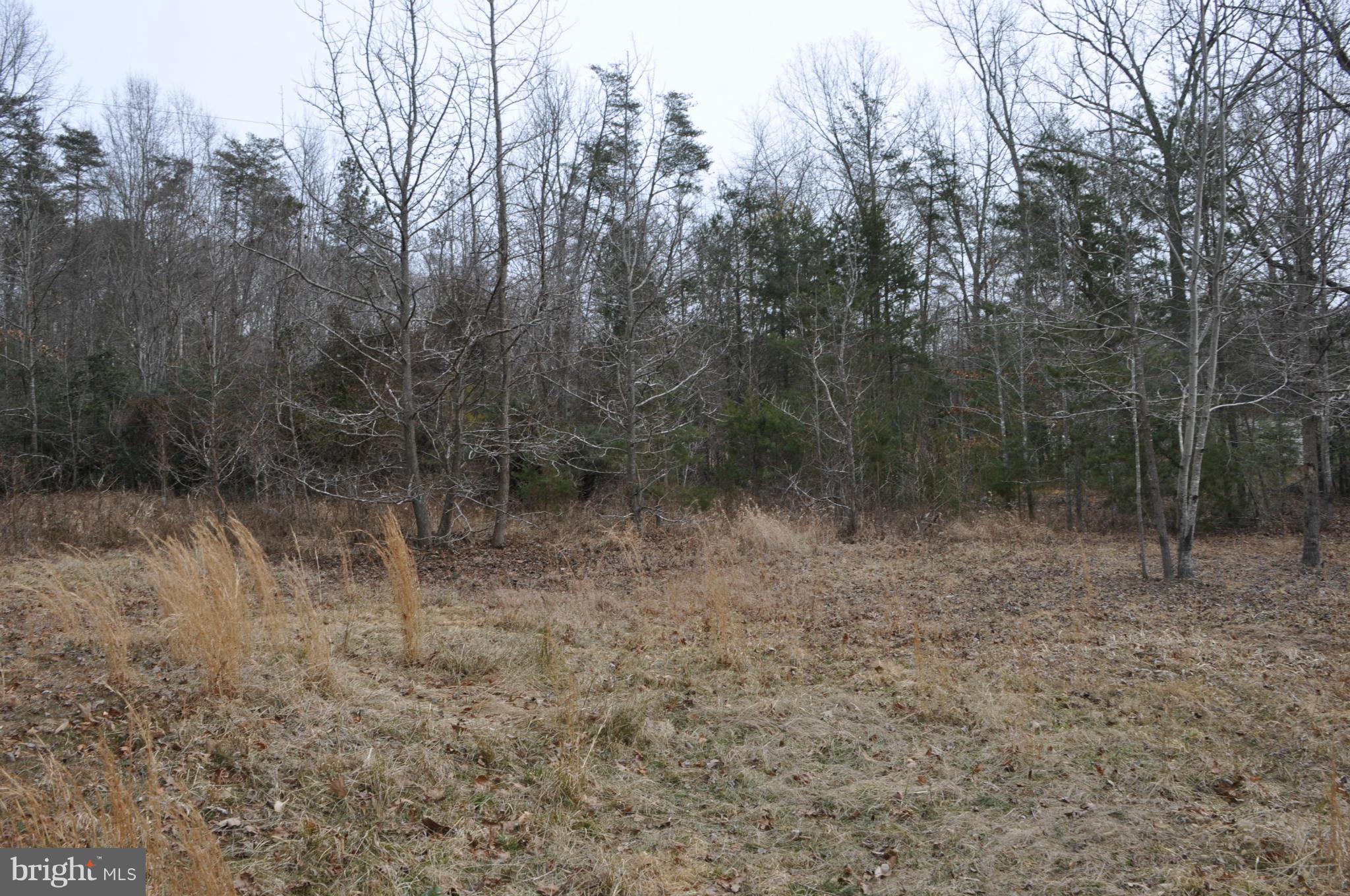 NONE AVAILABLE - Land