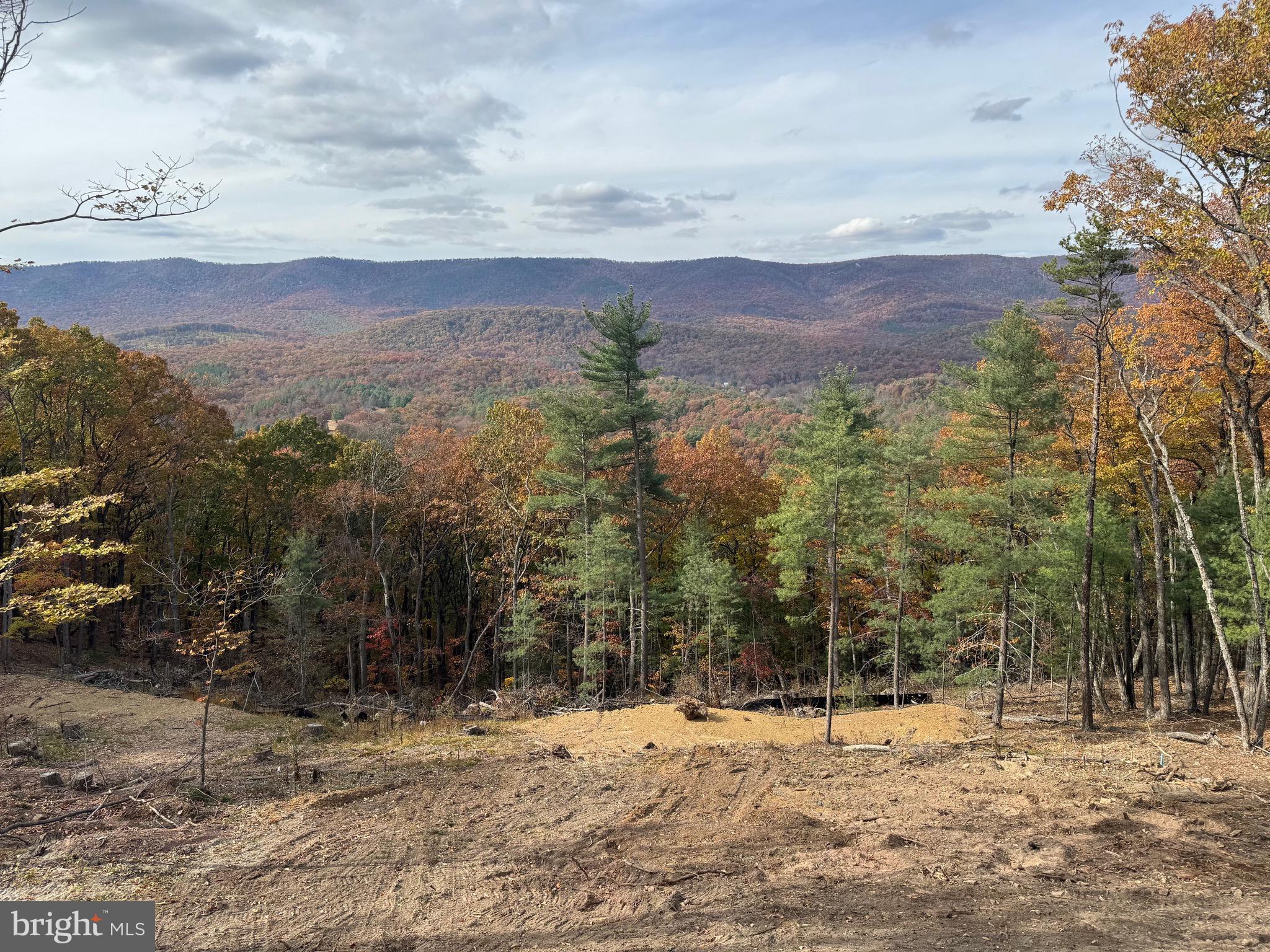 4101 and 4039 SUPINLICK RIDGE RD