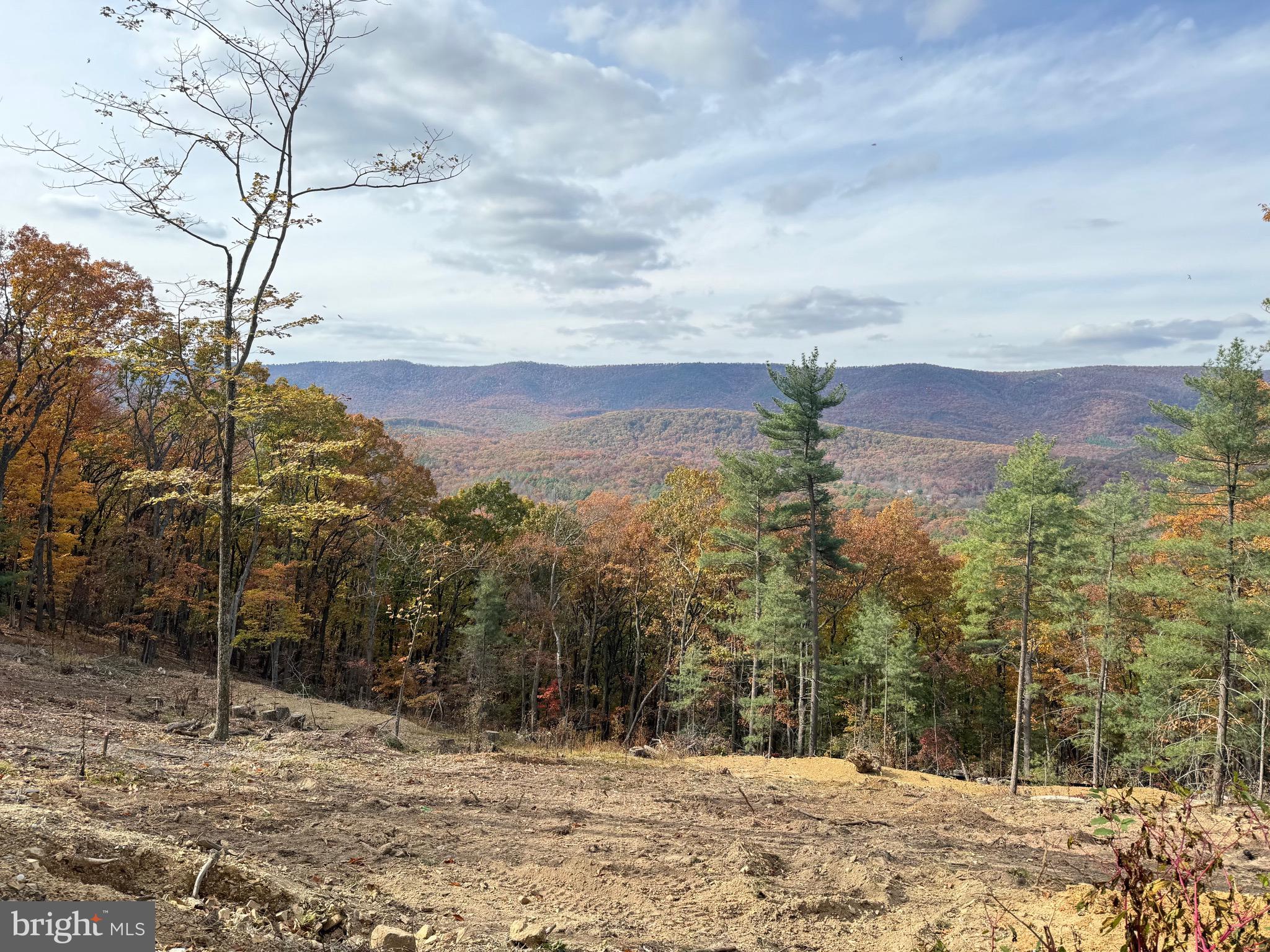 4101 and 4039 SUPINLICK RIDGE RD