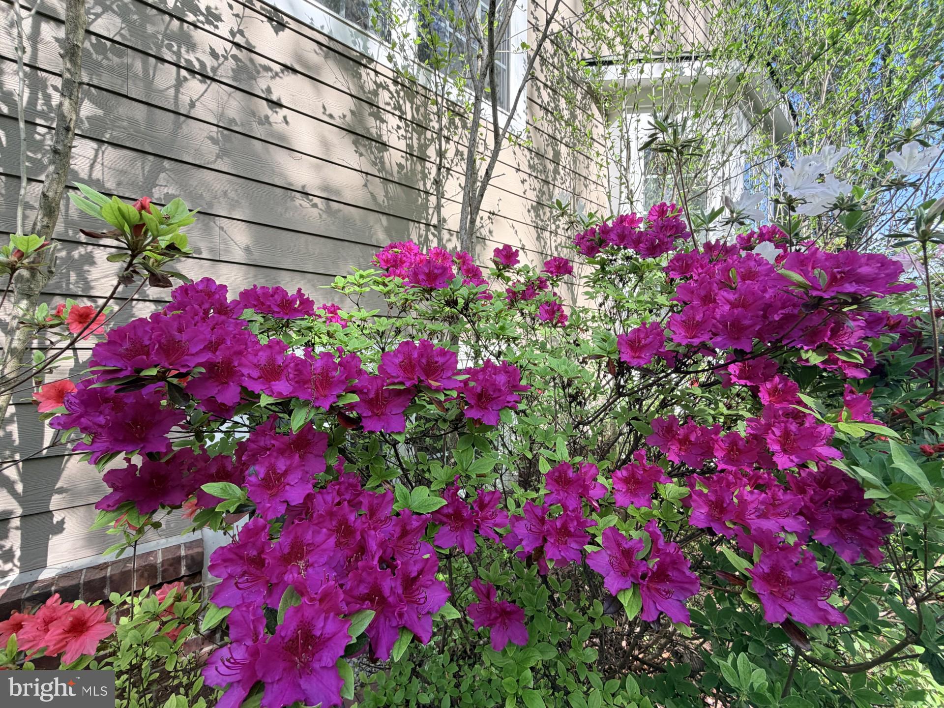 ASHTON MANOR - Residential