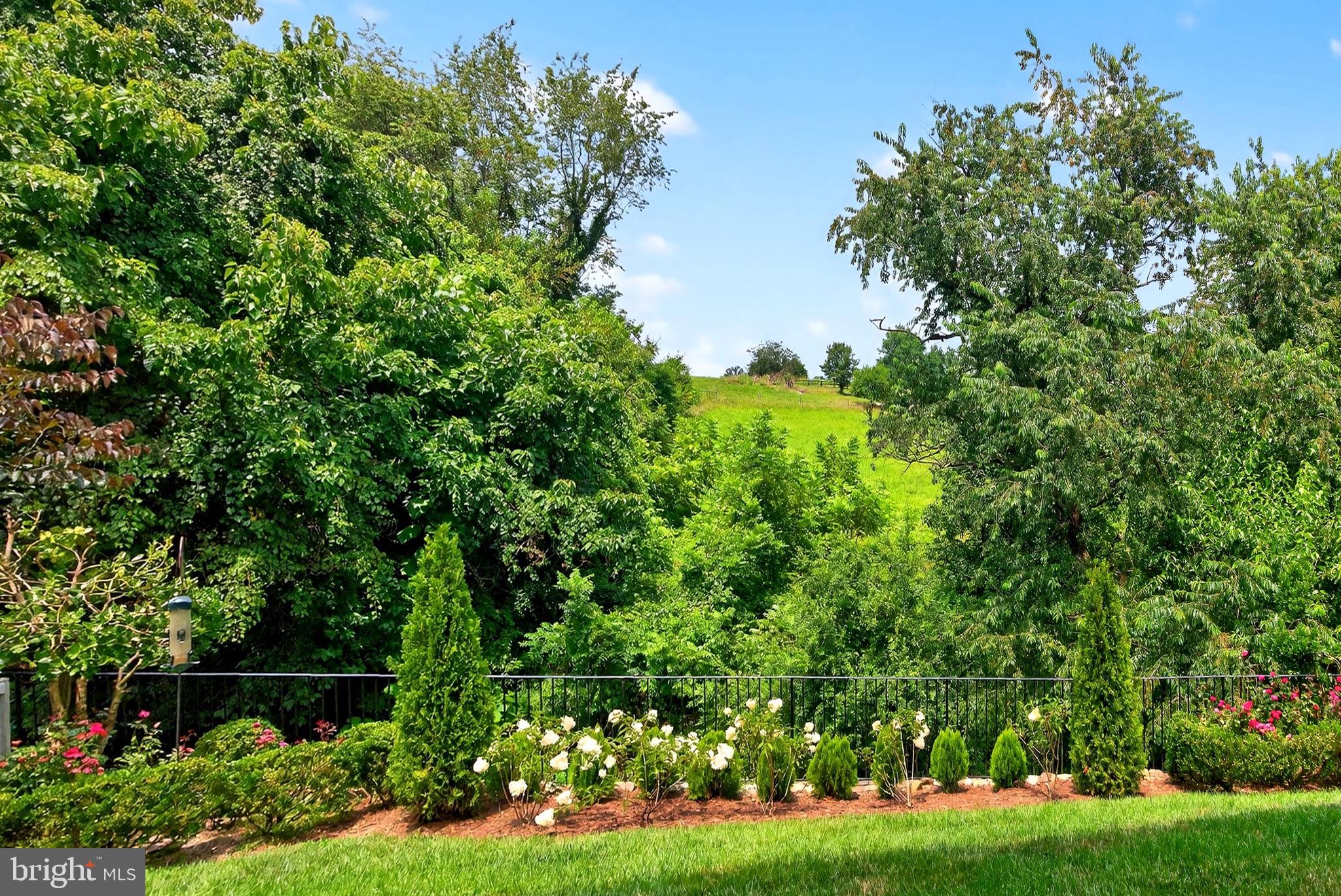 MIDDLEBURG - Residential