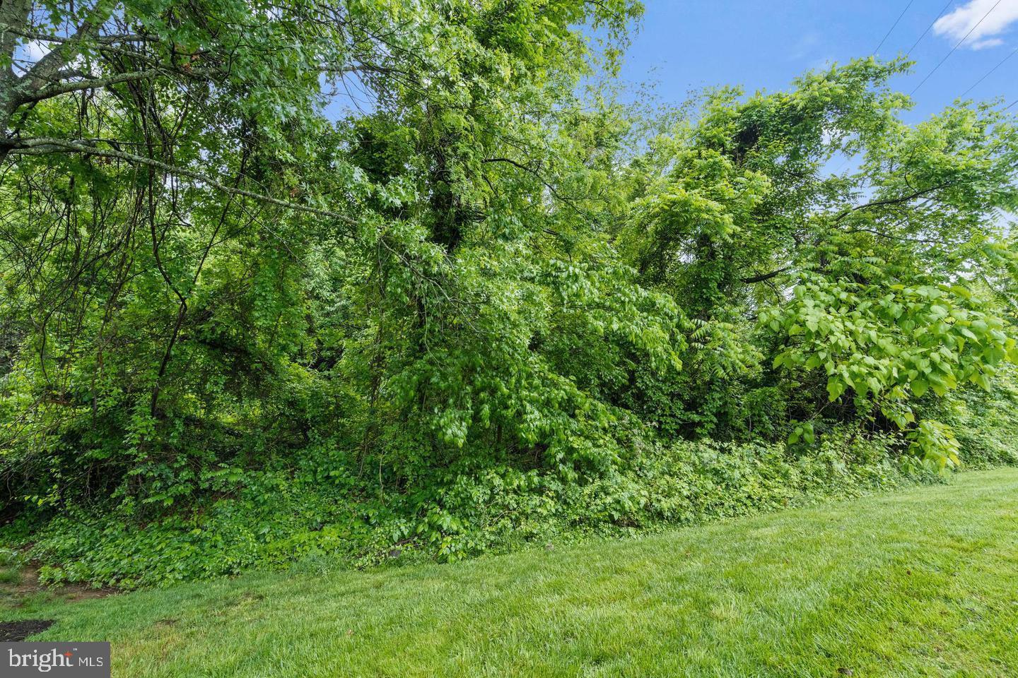 241 ALEXANDRIA PIKE