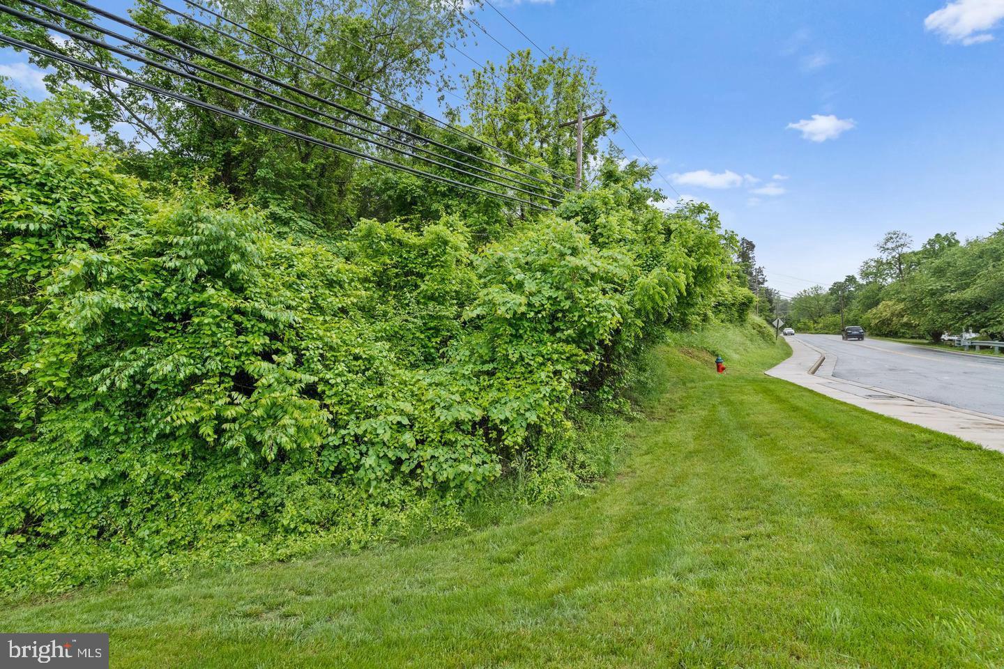 241 ALEXANDRIA PIKE