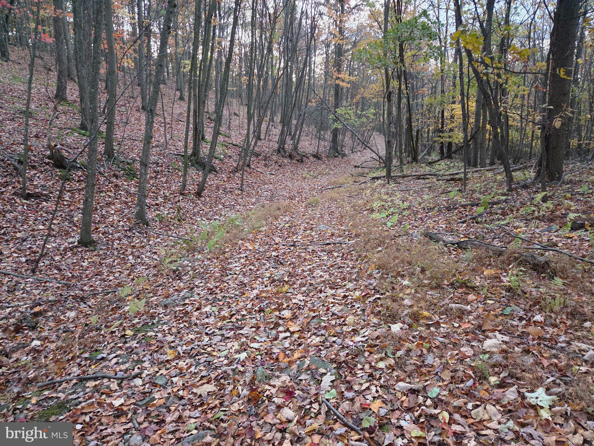 FAIRVIEW - Residential