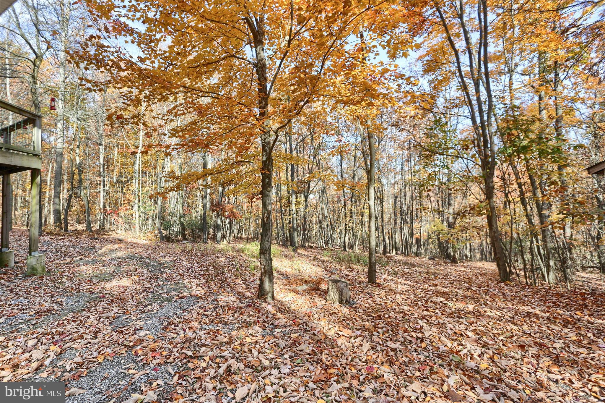 FAIRVIEW - Residential