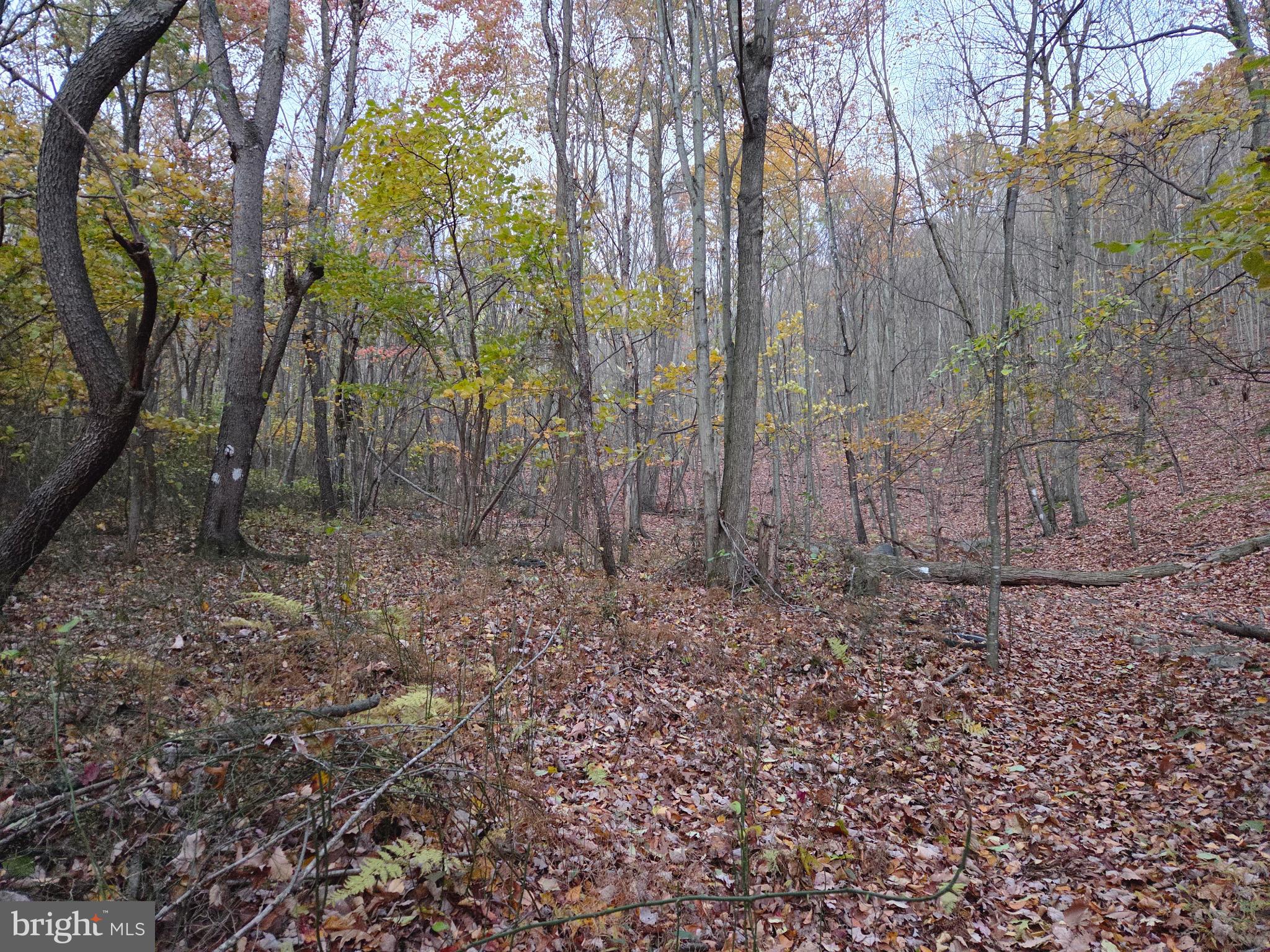 FAIRVIEW - Residential