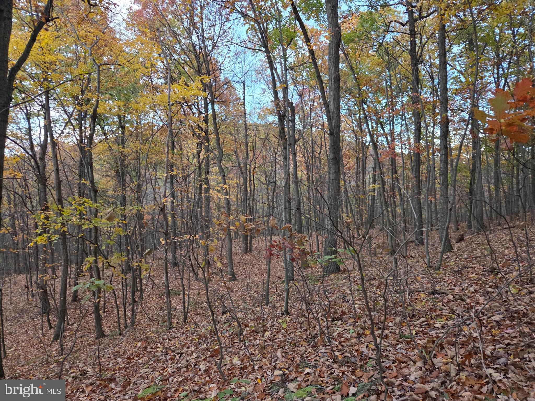 FAIRVIEW - Residential