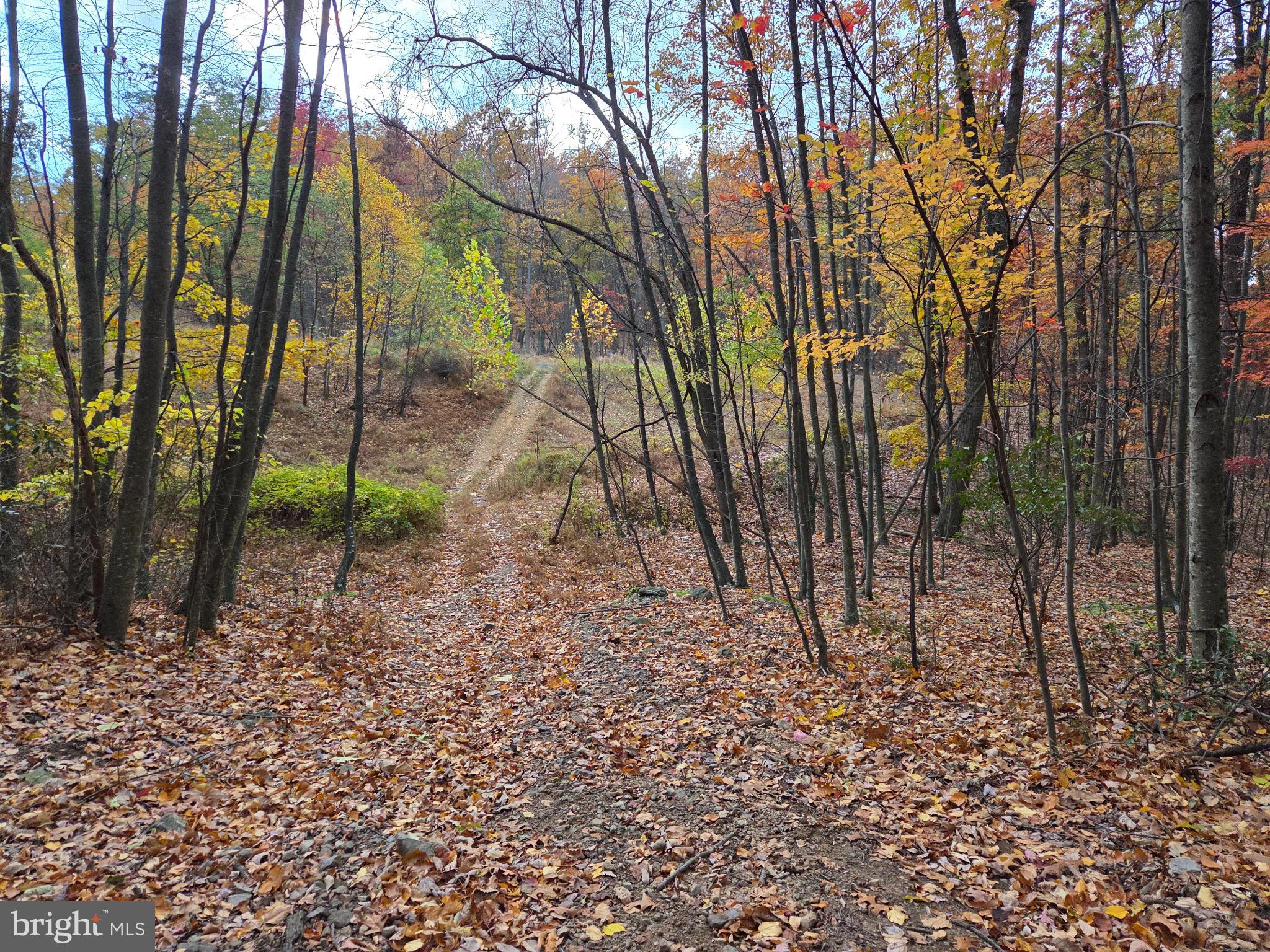 FAIRVIEW - Residential