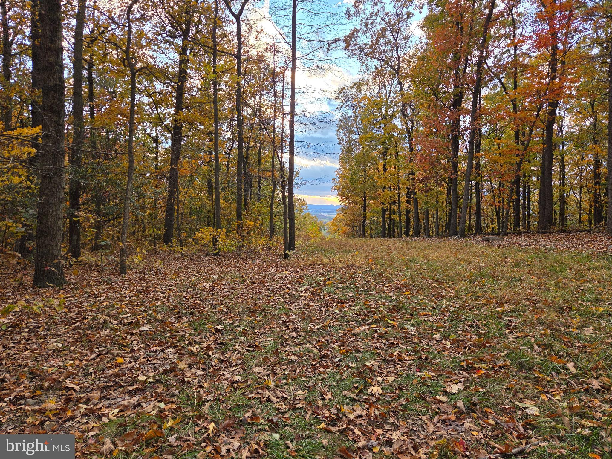 FAIRVIEW - Residential