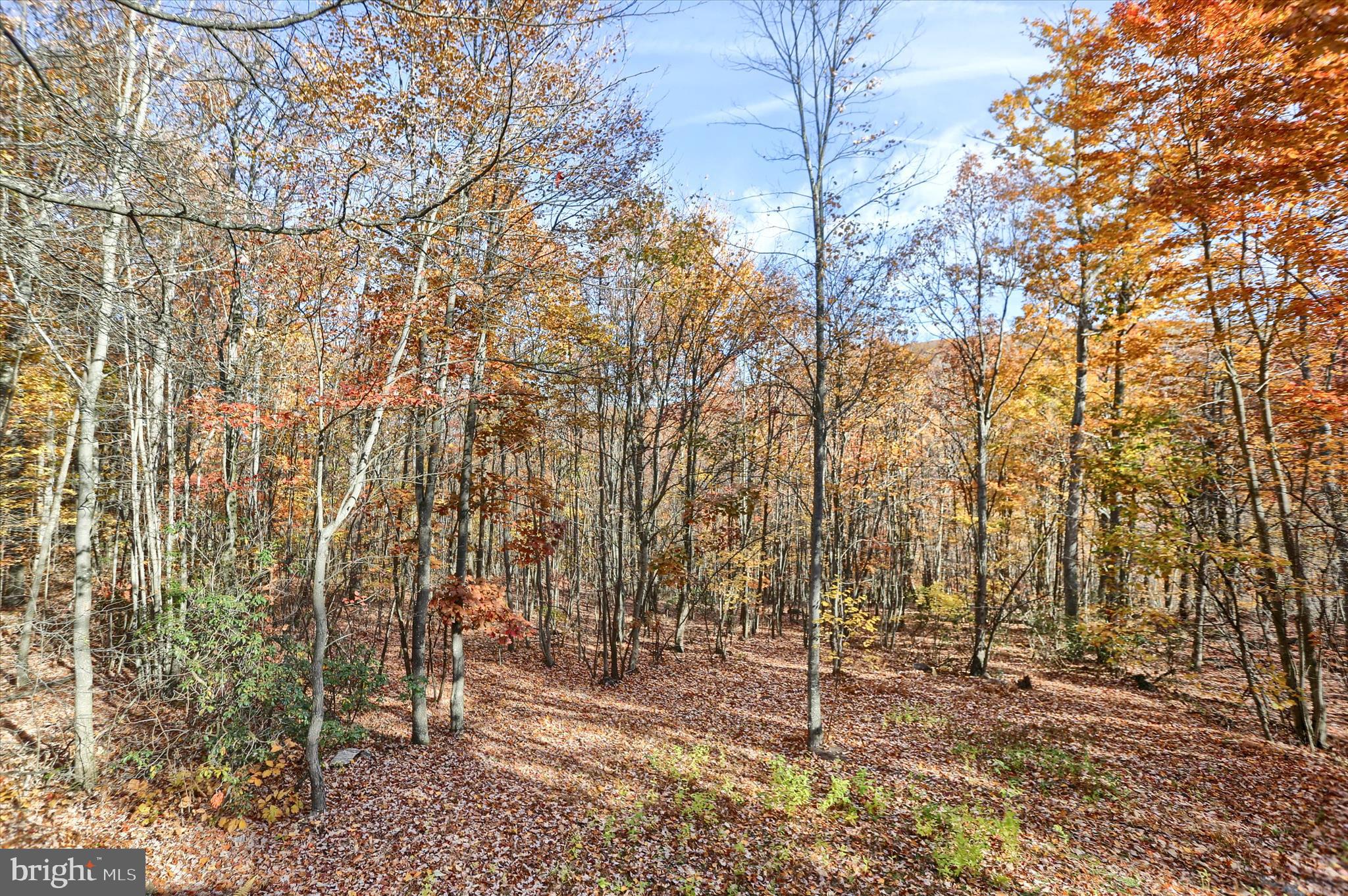 FAIRVIEW - Residential