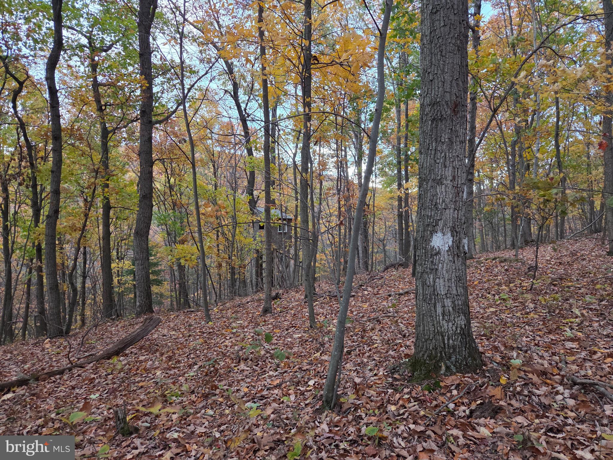 FAIRVIEW - Residential