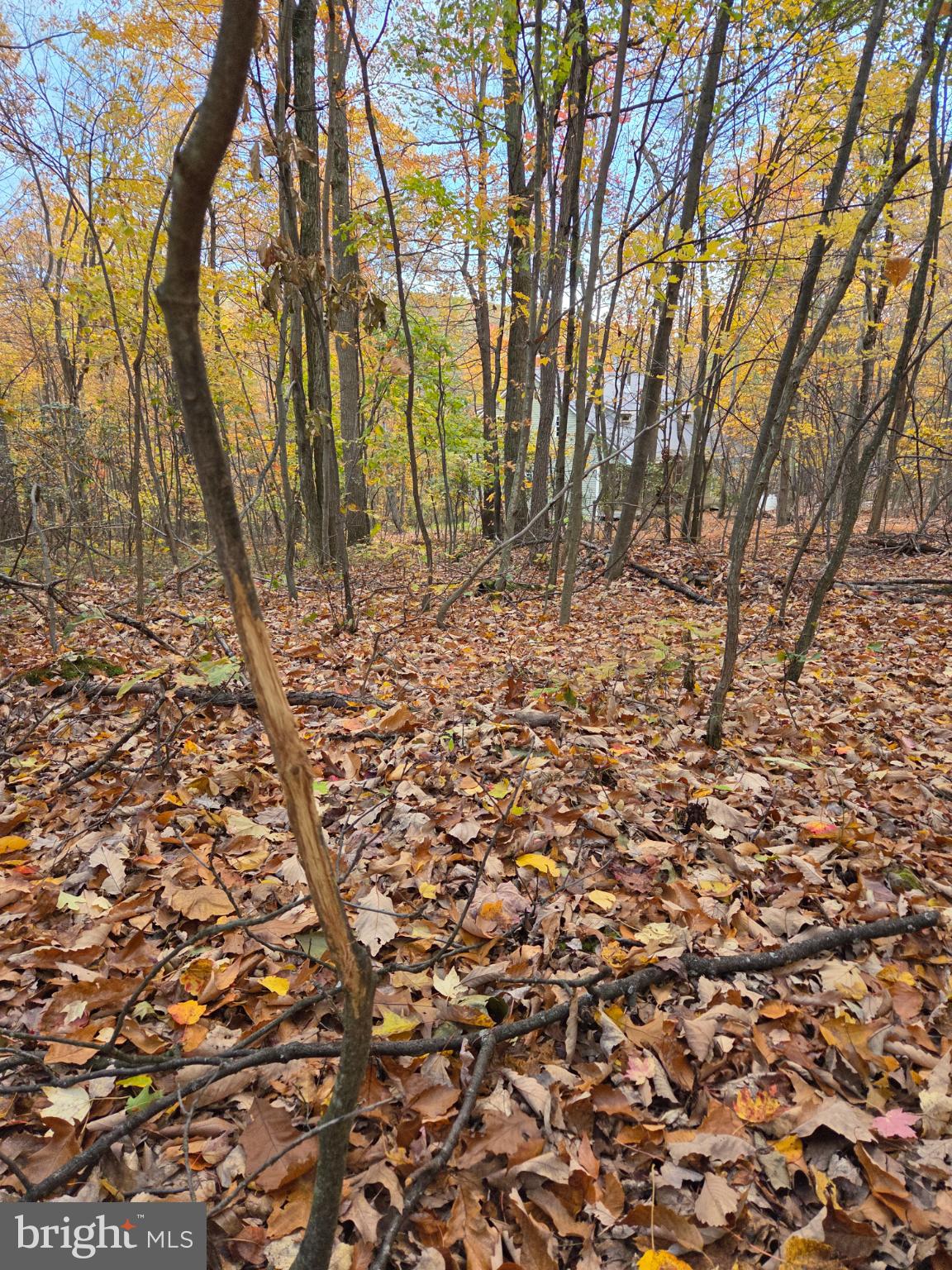 FAIRVIEW - Residential