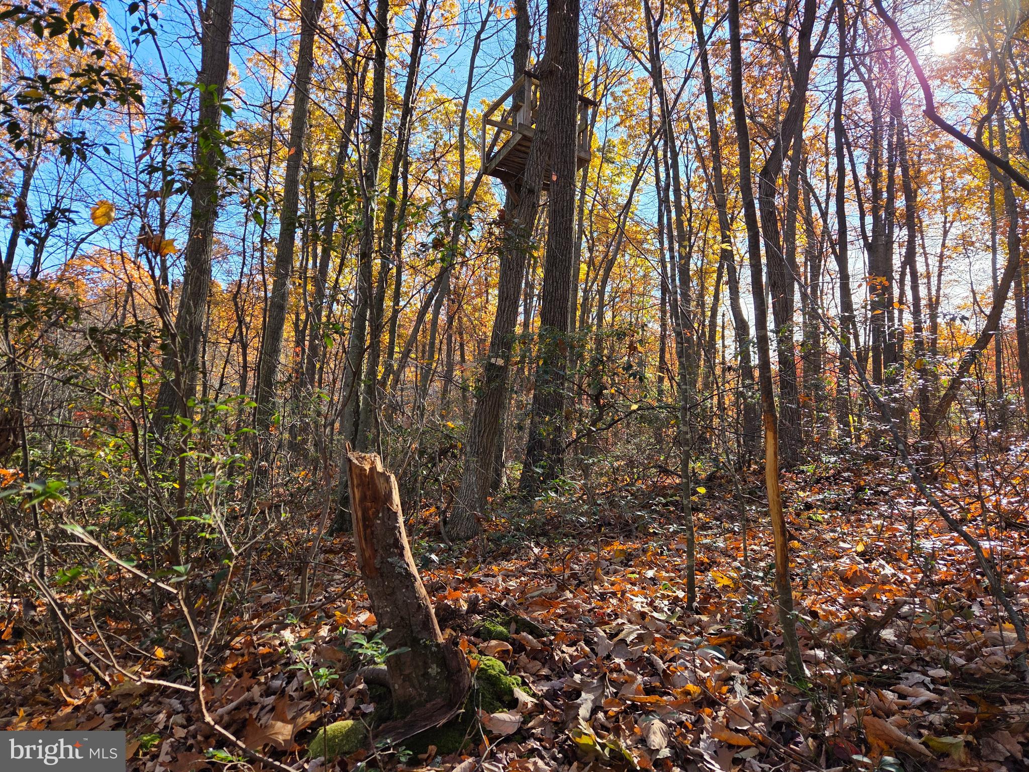 FAIRVIEW - Residential