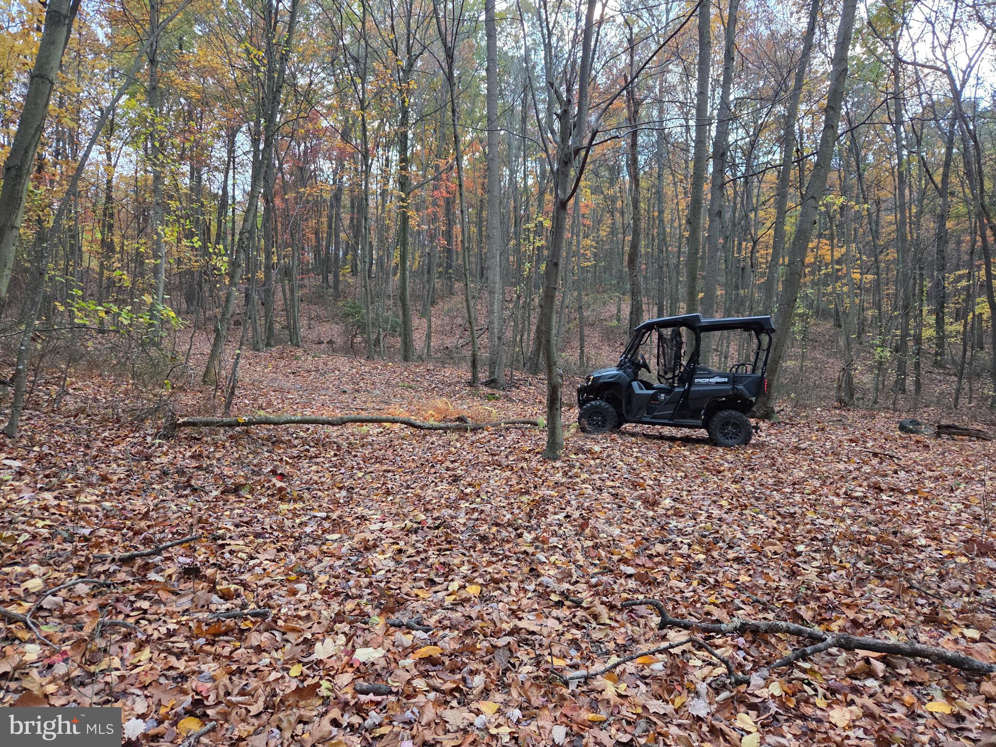 FAIRVIEW - Residential