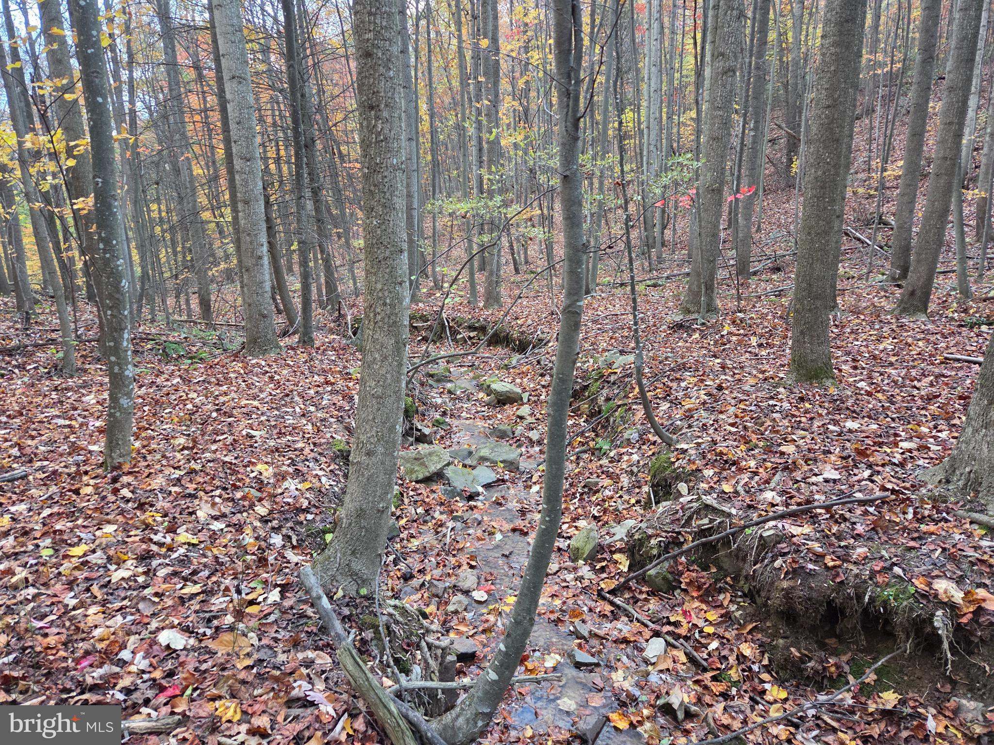 FAIRVIEW - Residential