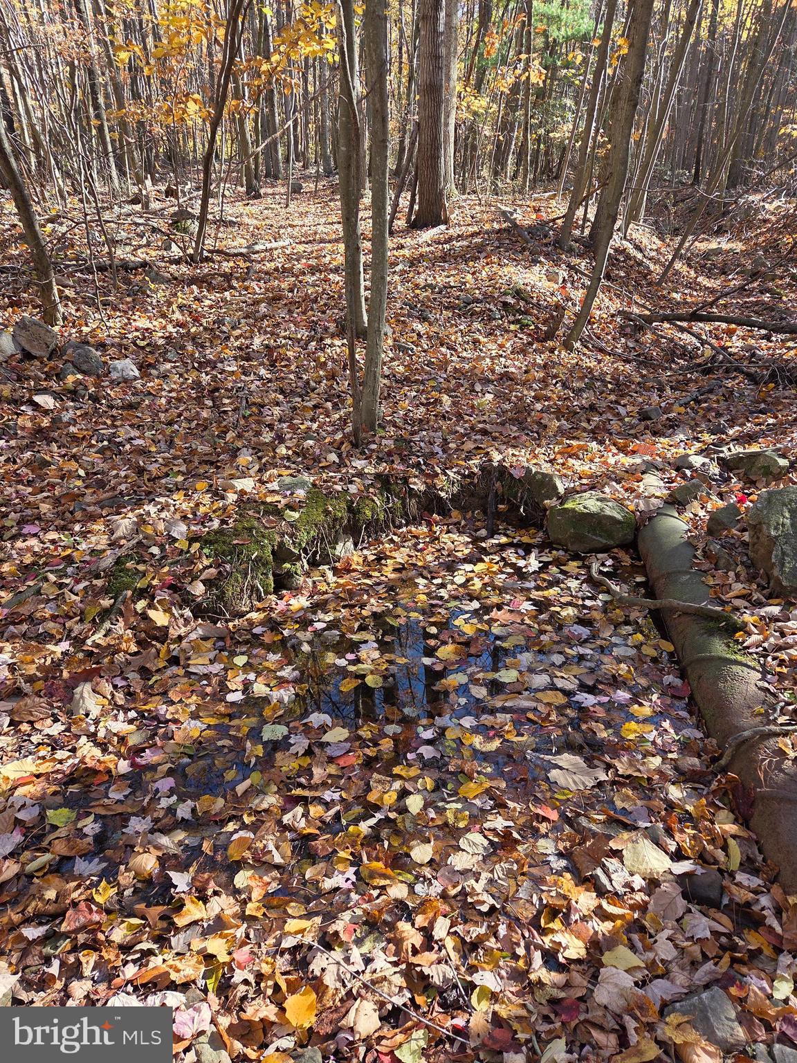 FAIRVIEW - Residential