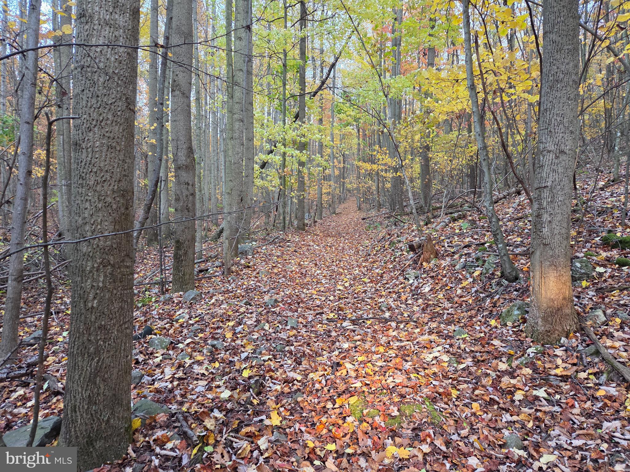 FAIRVIEW - Residential