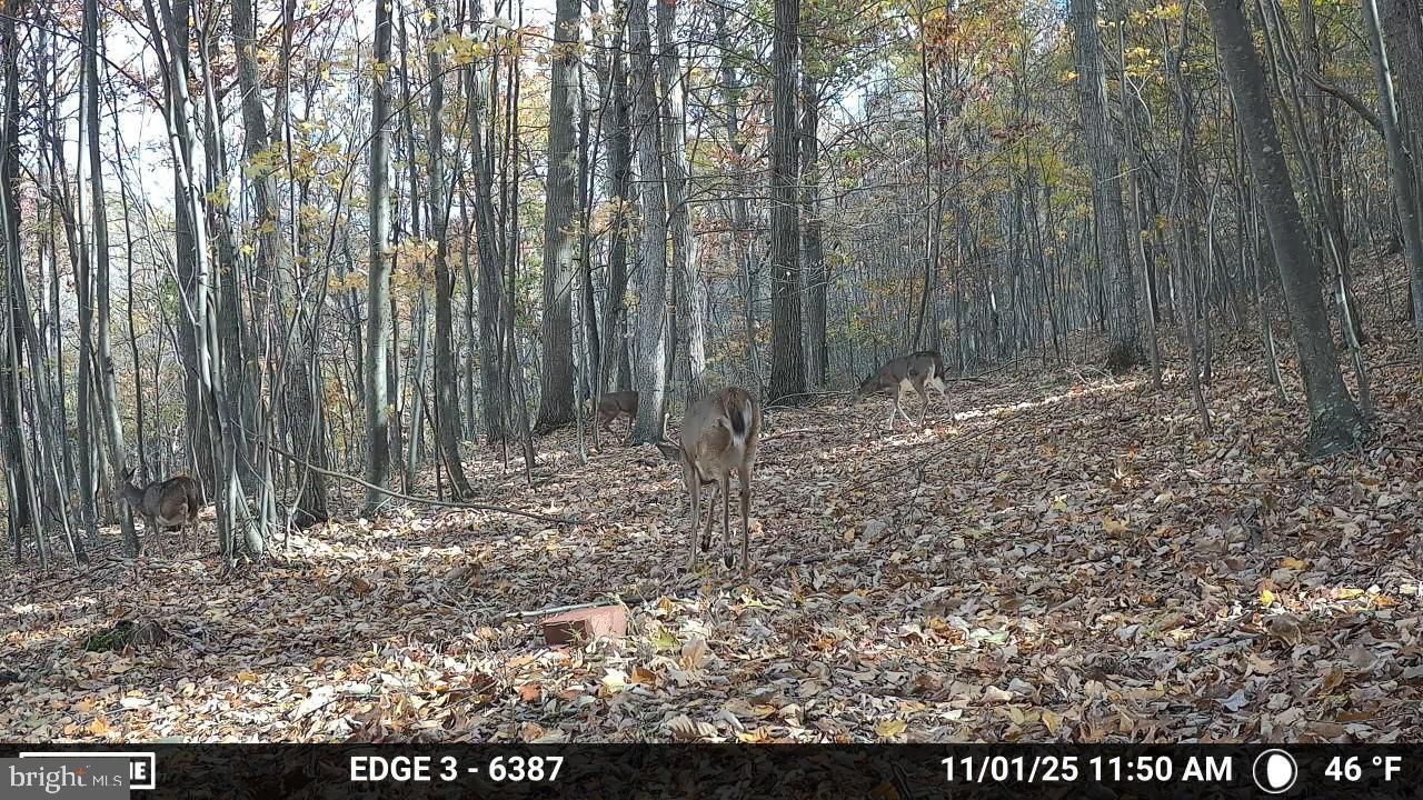 FAIRVIEW - Residential