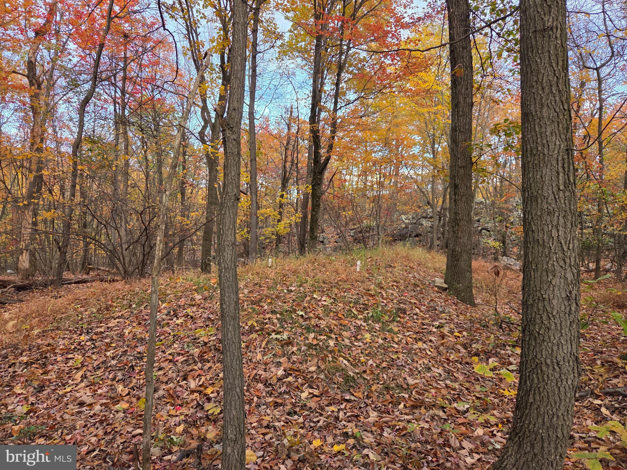 FAIRVIEW - Residential