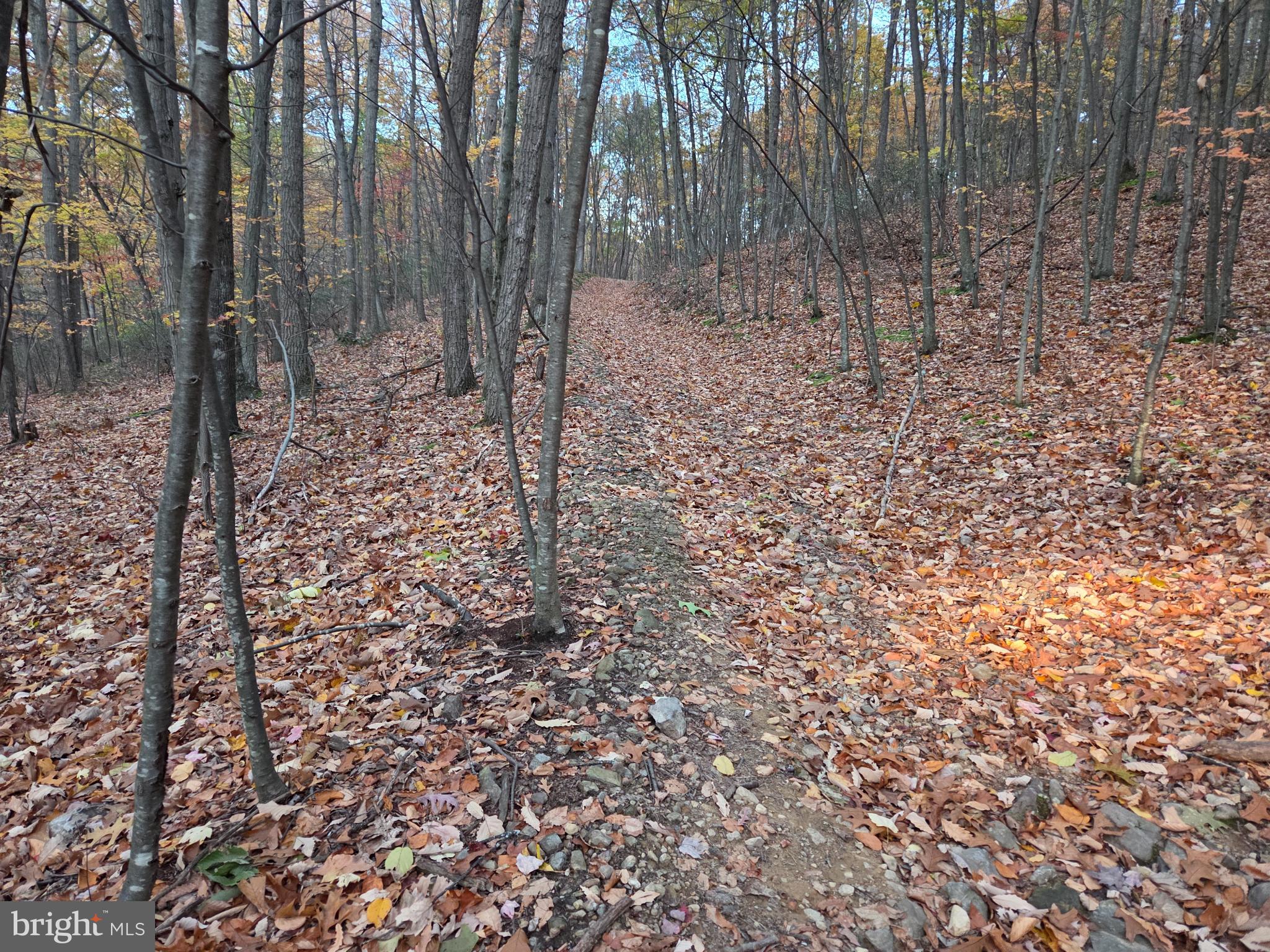 FAIRVIEW - Residential