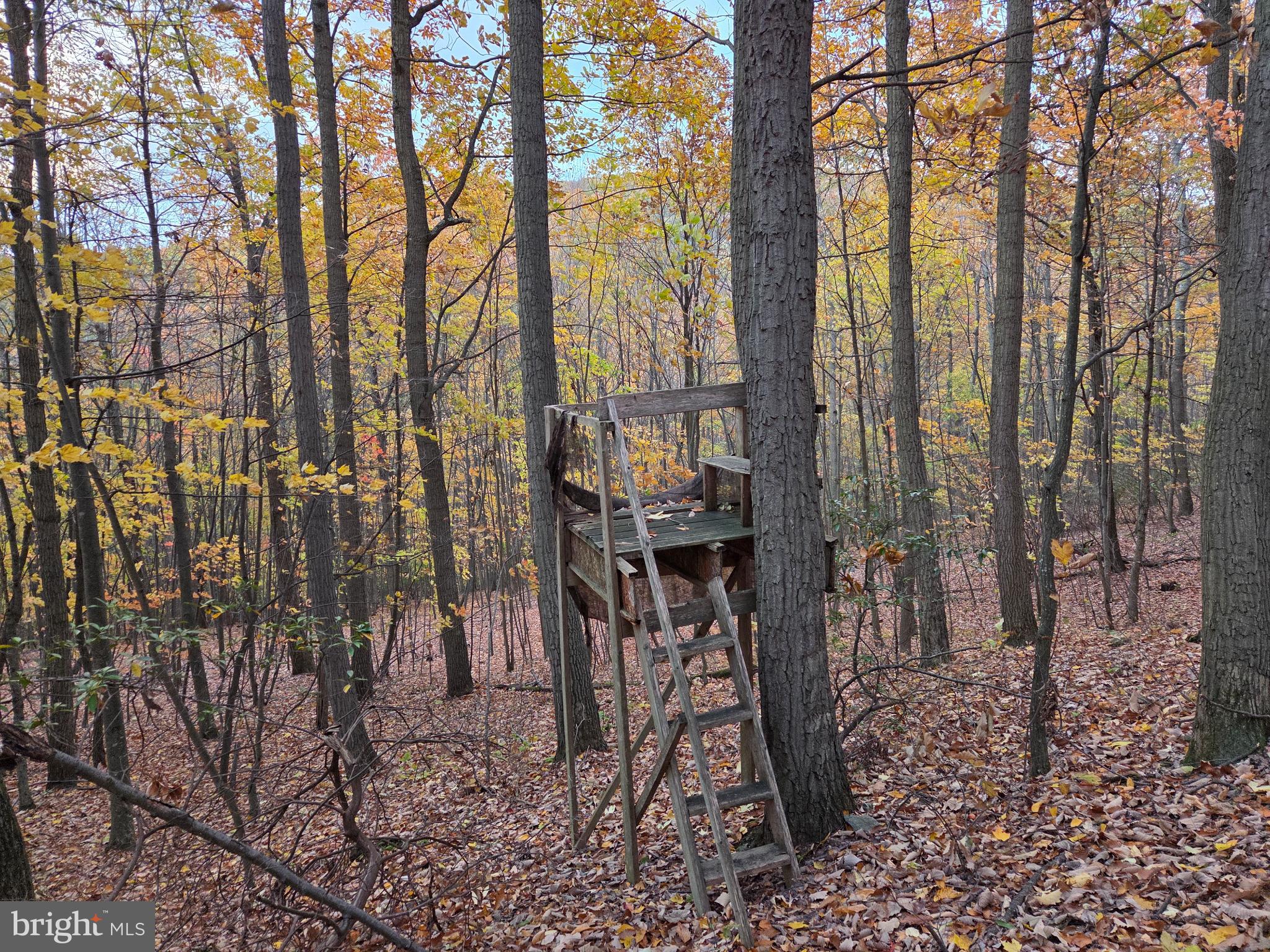 FAIRVIEW - Residential